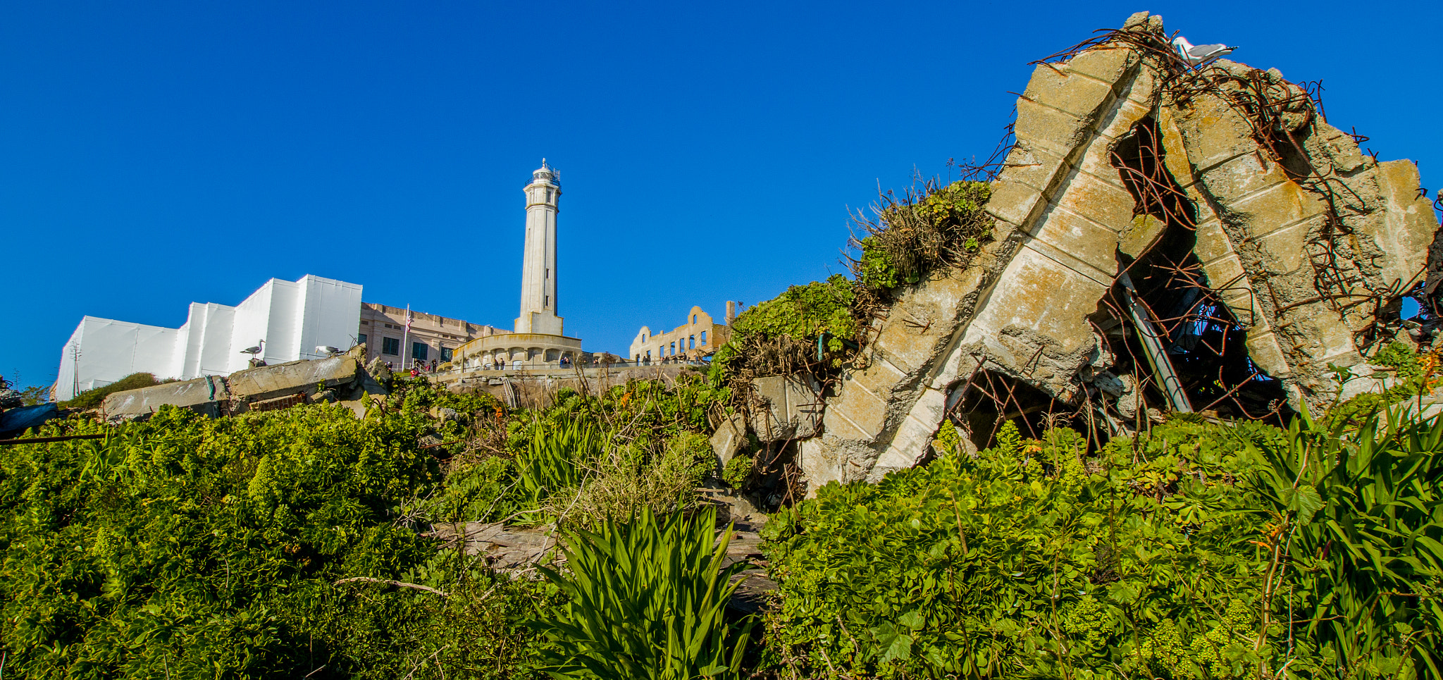 Canon EOS M5 sample photo. Alcatraz photography