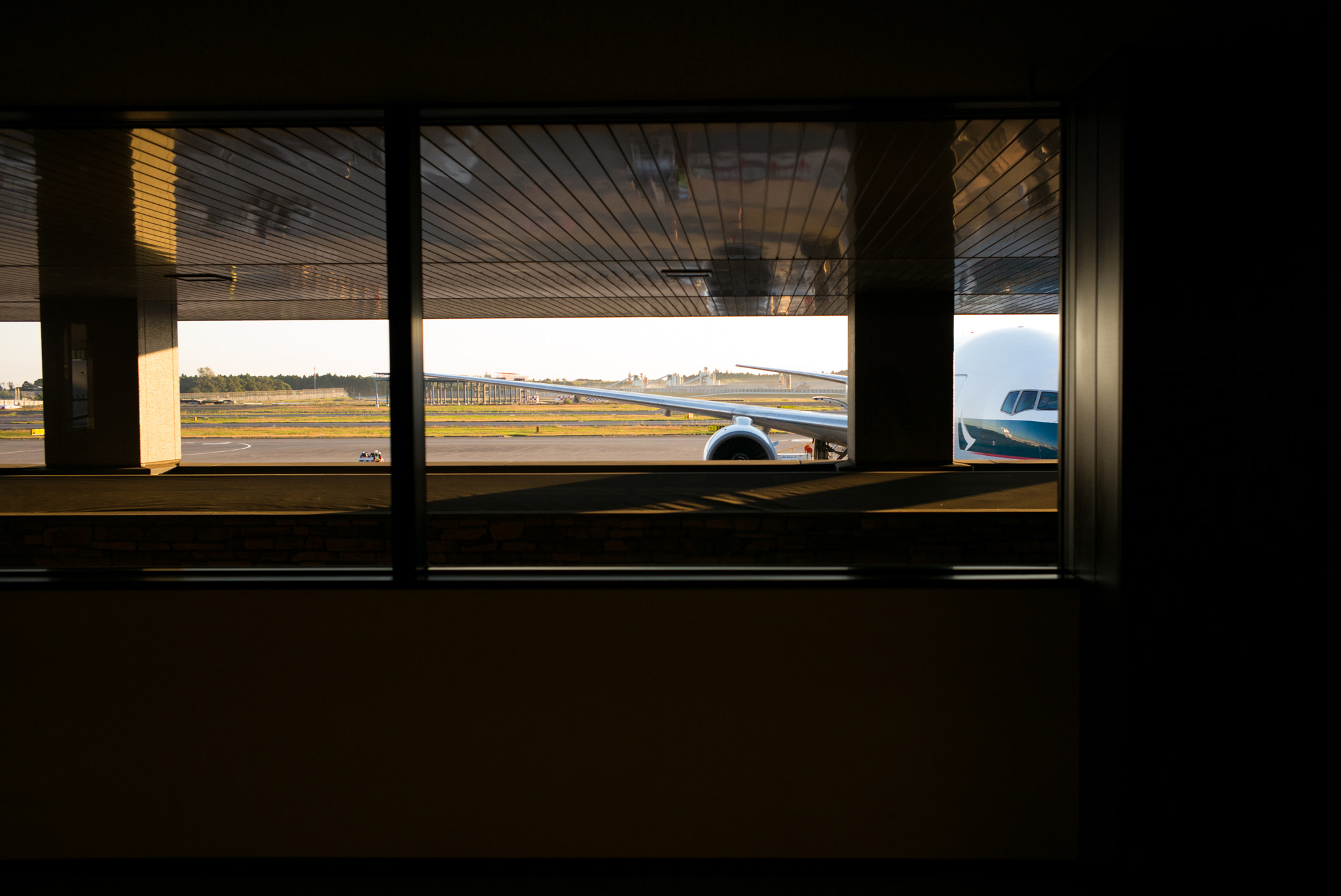 Summicron-M 1:2/35 ASPH. sample photo. Wing photography