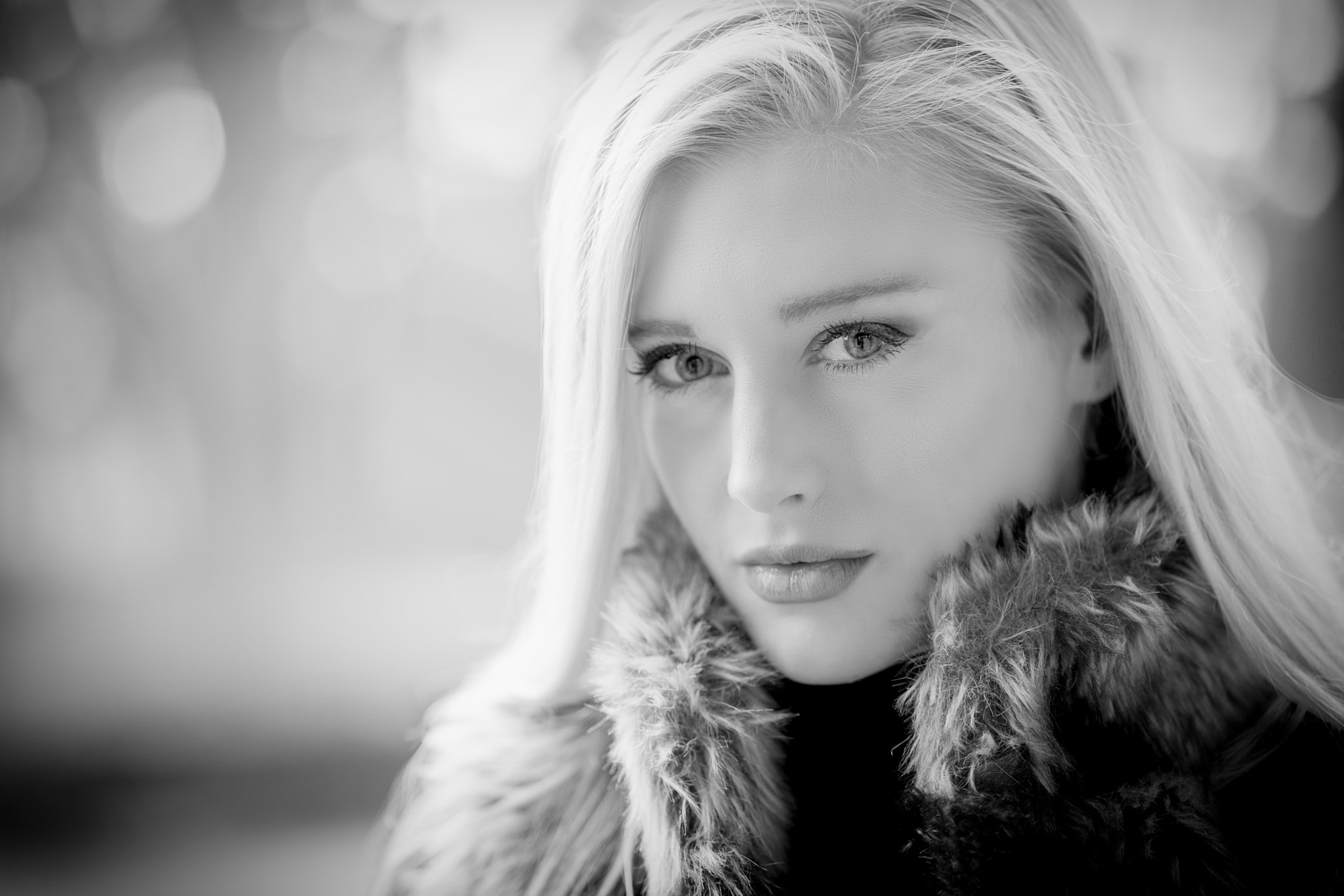ZEISS Batis 85mm F1.8 sample photo. Winter stare photography