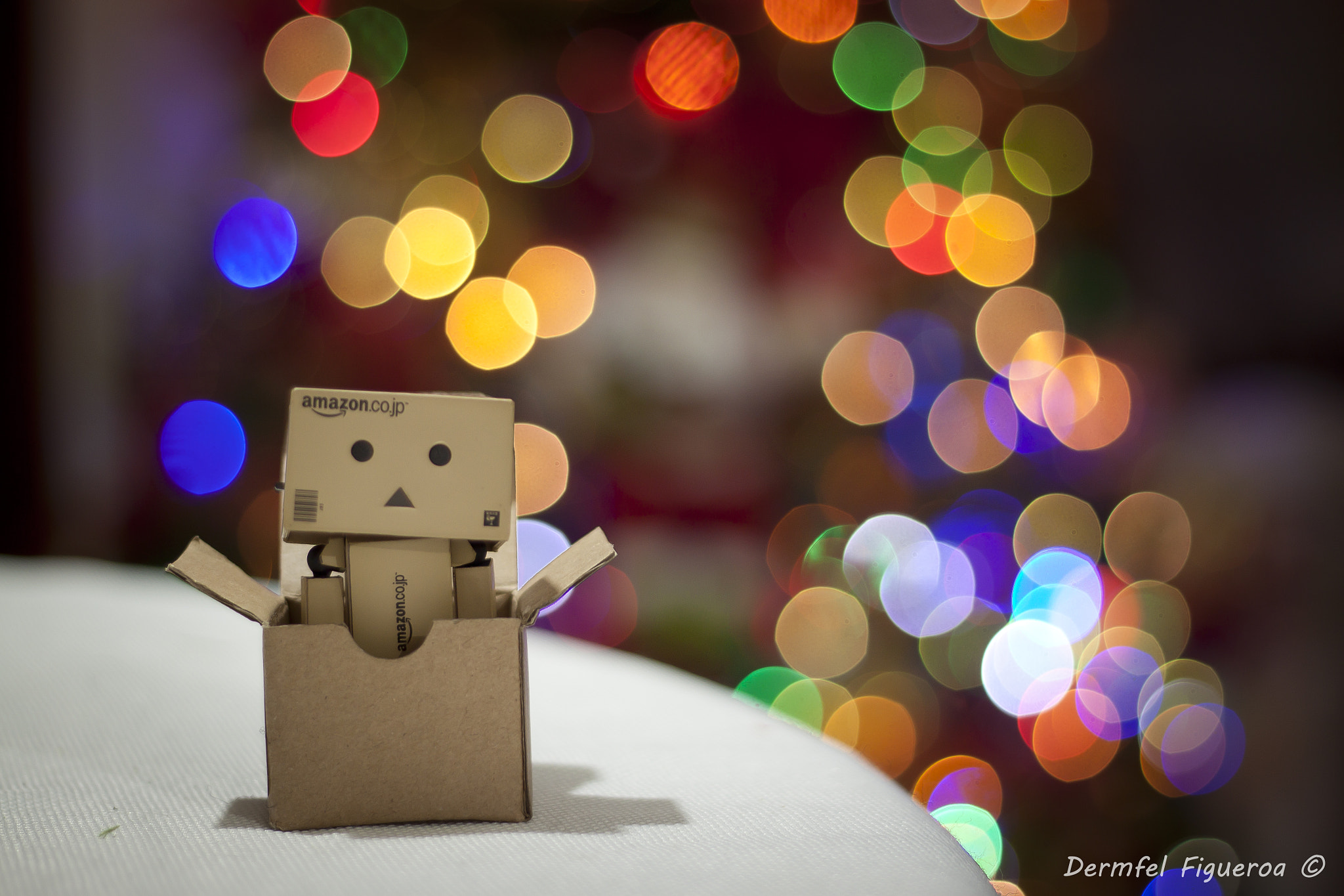 Canon EOS 500D (EOS Rebel T1i / EOS Kiss X3) sample photo. Christmas with dambo photography