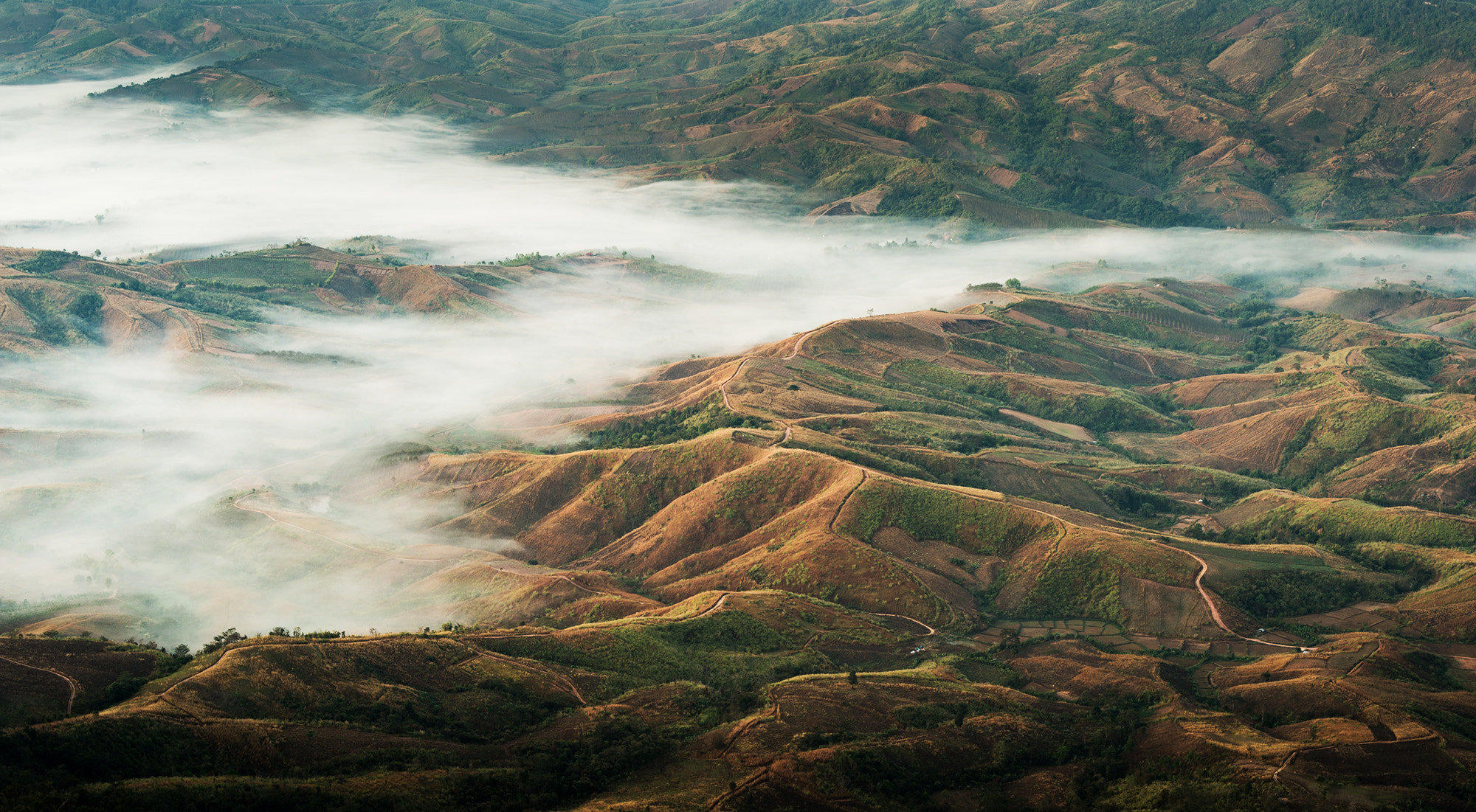 Nikon Df + Nikon AF-S Nikkor 58mm F1.4G sample photo. Phu buk dai viewpoint photography