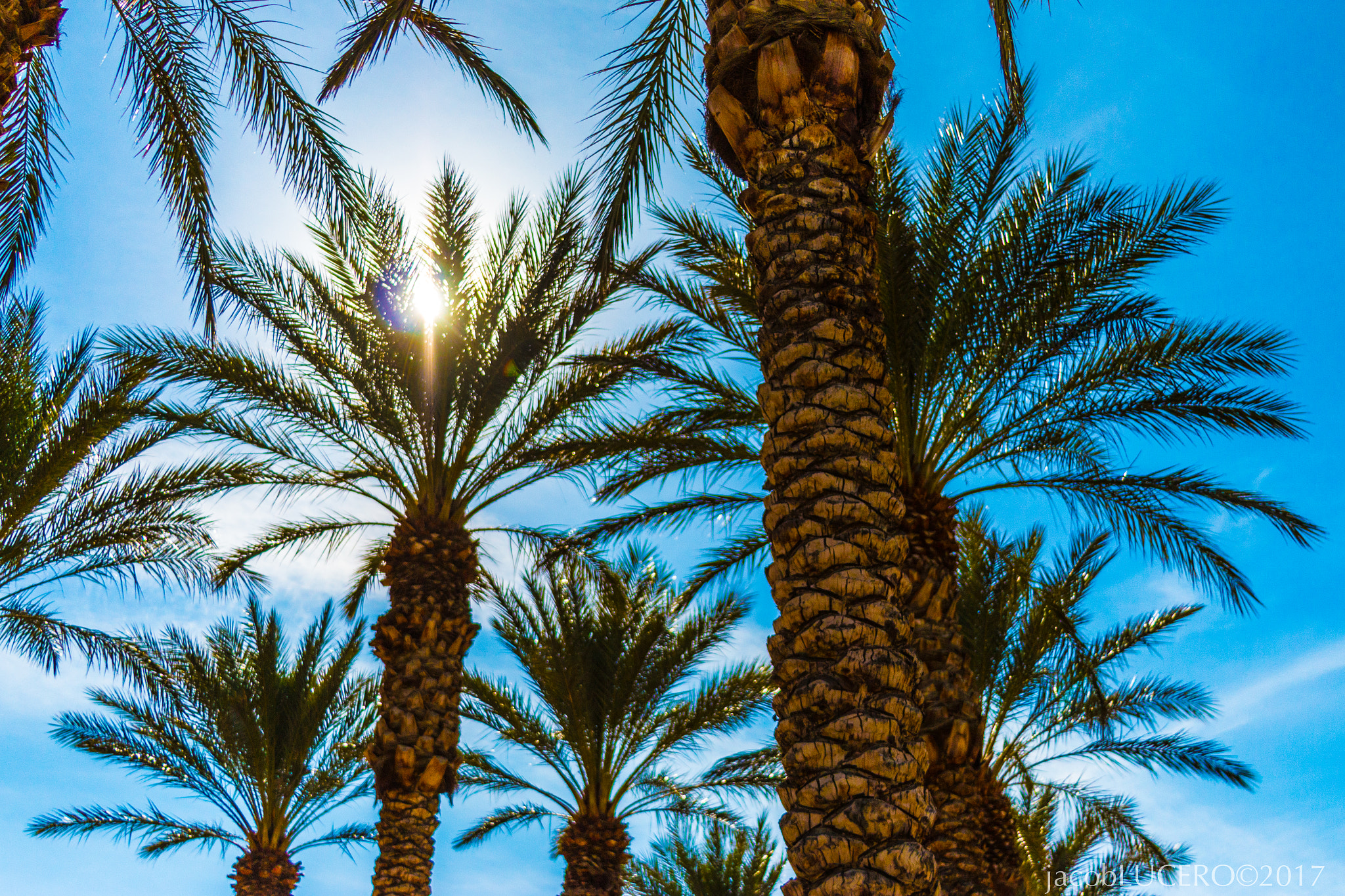 Canon EF 28-135mm F3.5-5.6 IS USM sample photo. Downtown las vegas photography