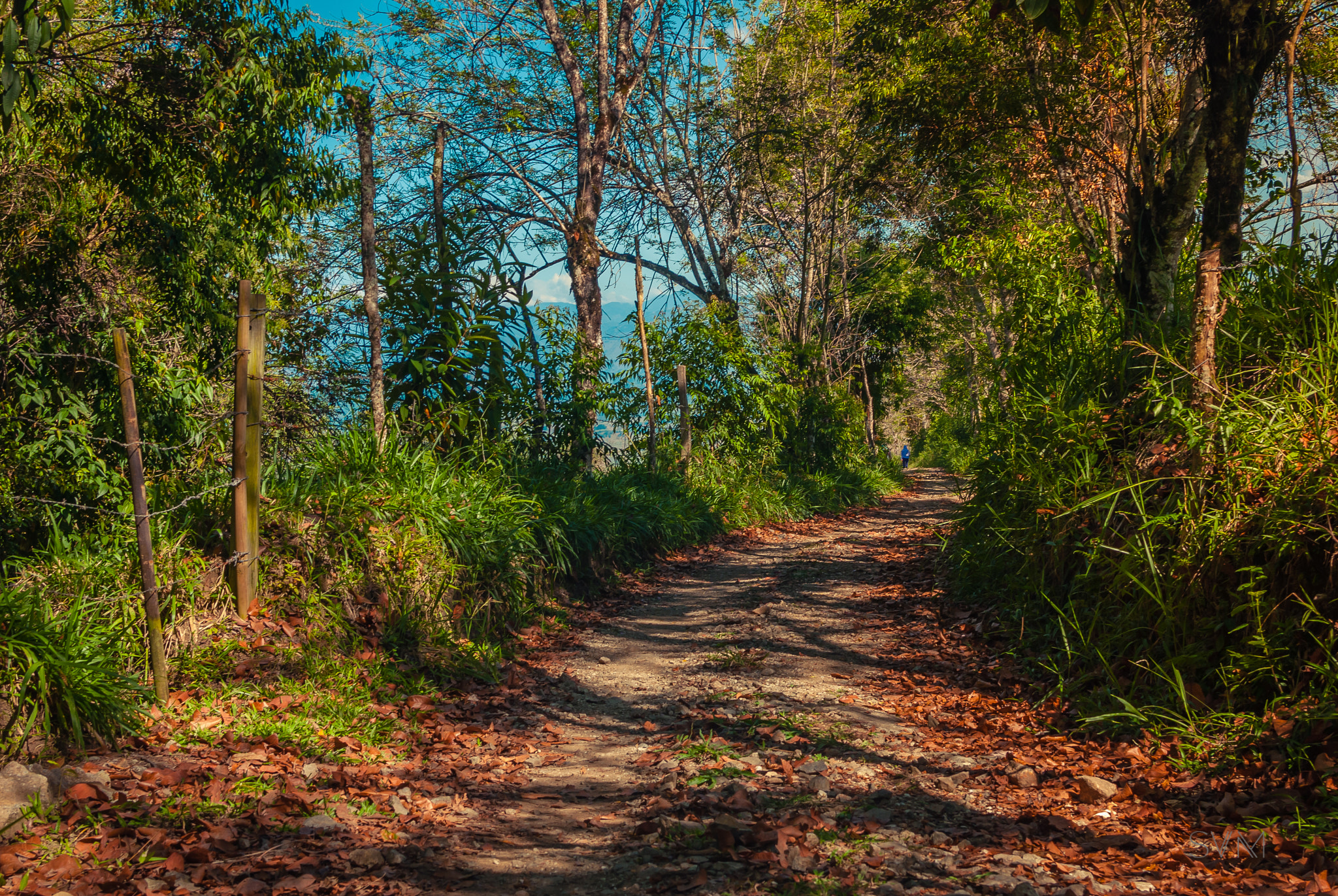 Nikon D80 sample photo. The blue walker photography