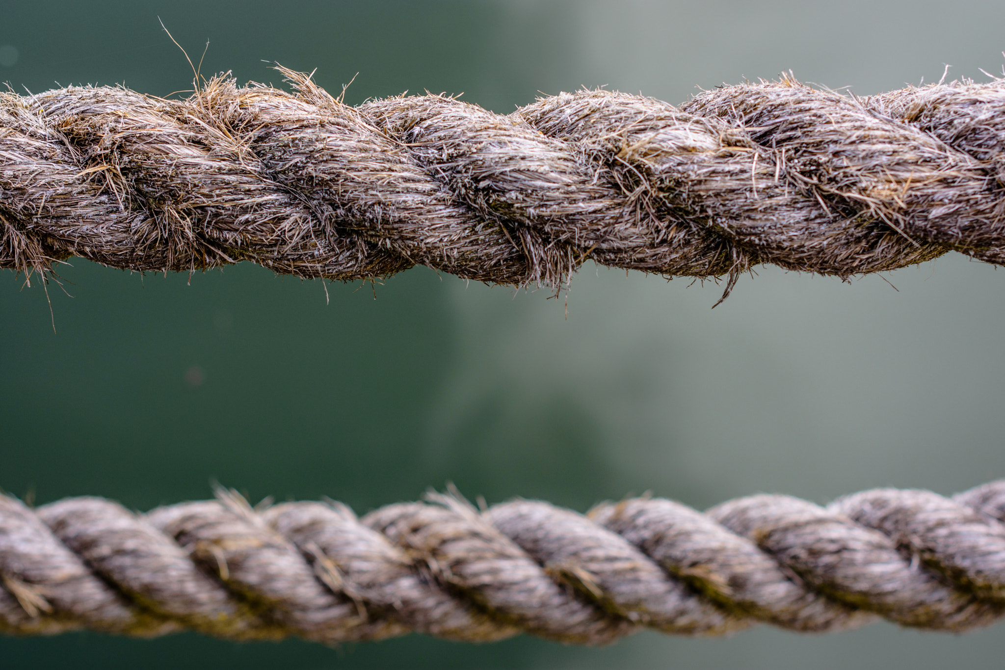 Nikon D7200 sample photo. Rope photography