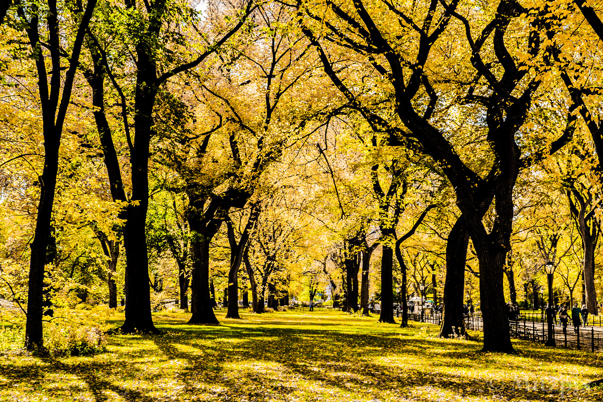 Sony a7 II + Sony Distagon T* FE 35mm F1.4 ZA sample photo. Dsc photography