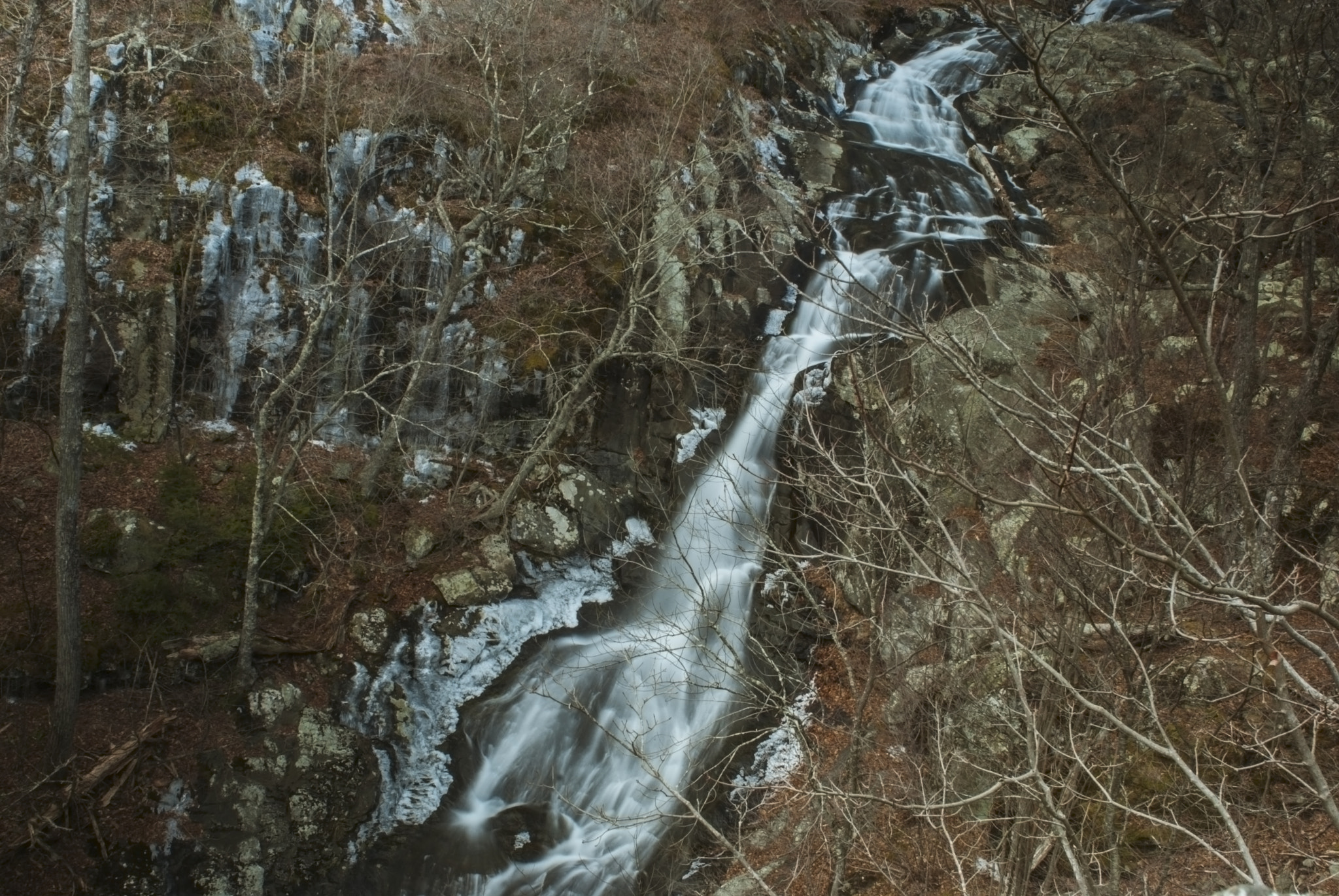 Nikon D80 + Nikon AF Nikkor 24mm F2.8D sample photo. Flow of life!!! photography