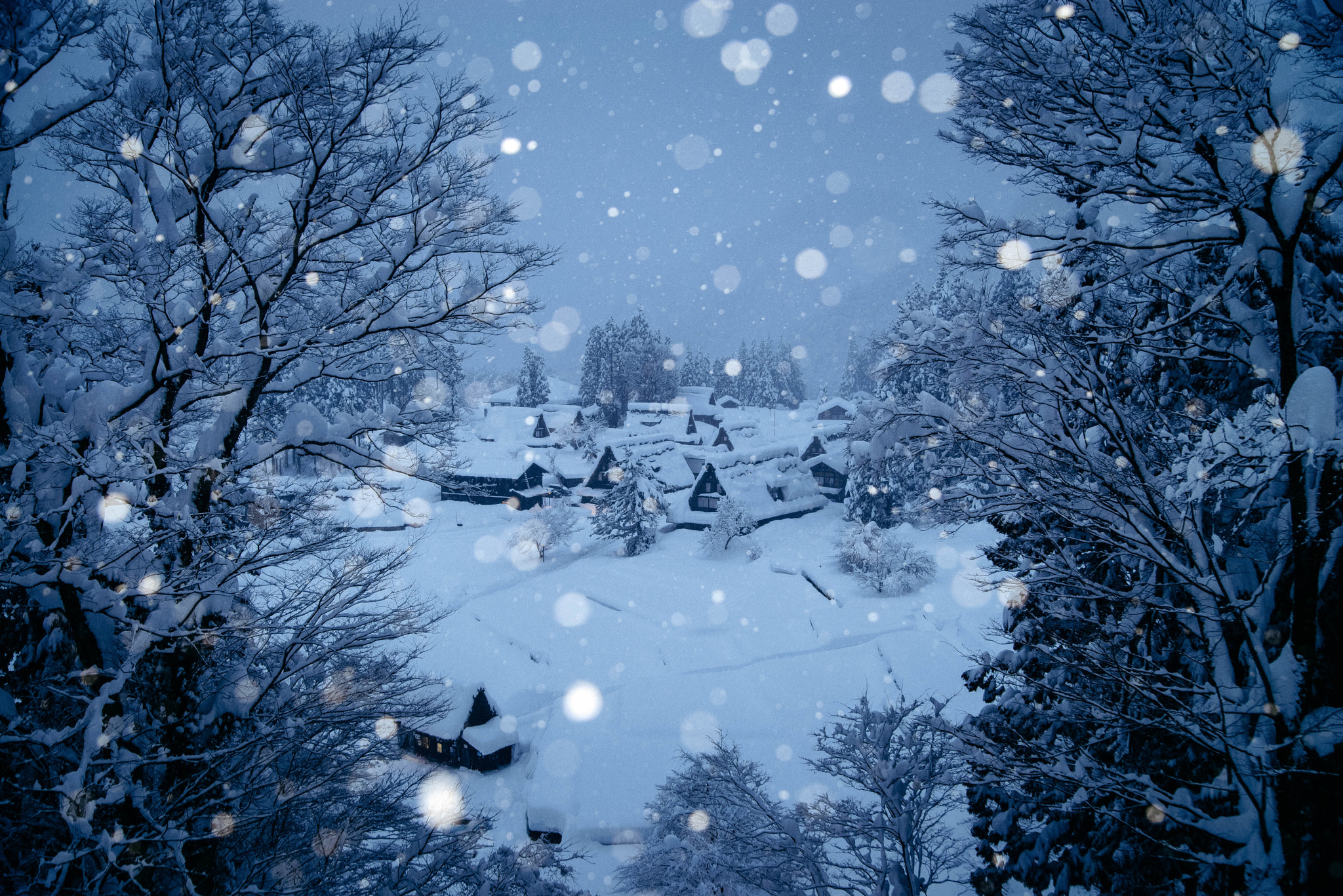 Nikon D600 sample photo. Against snow photography