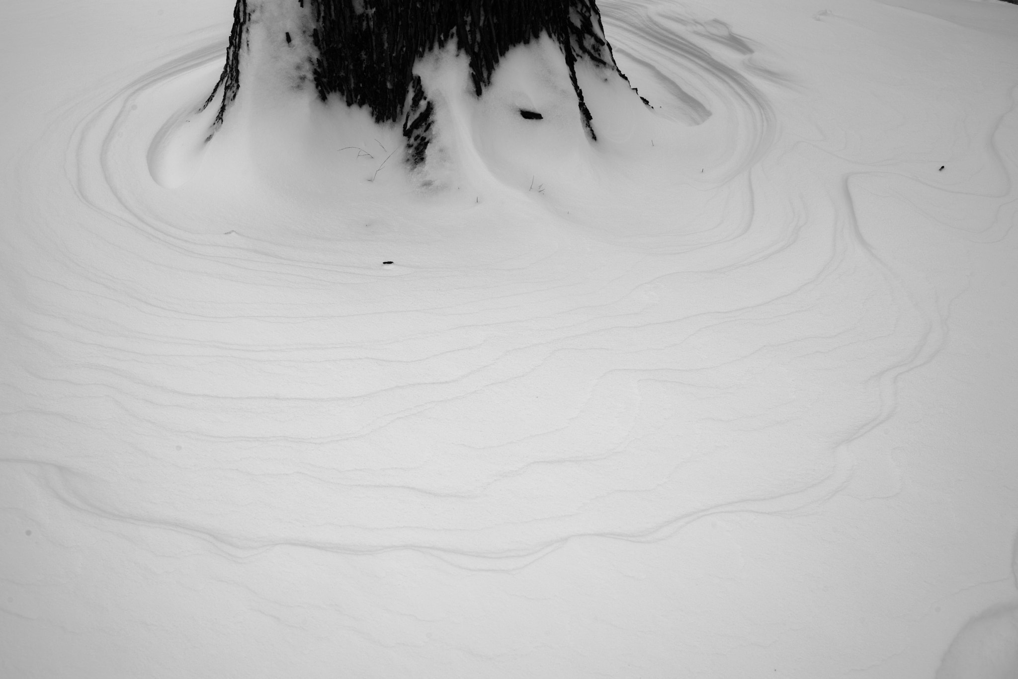 Pentax K-1 sample photo. Snow drifts around tree trunk photography