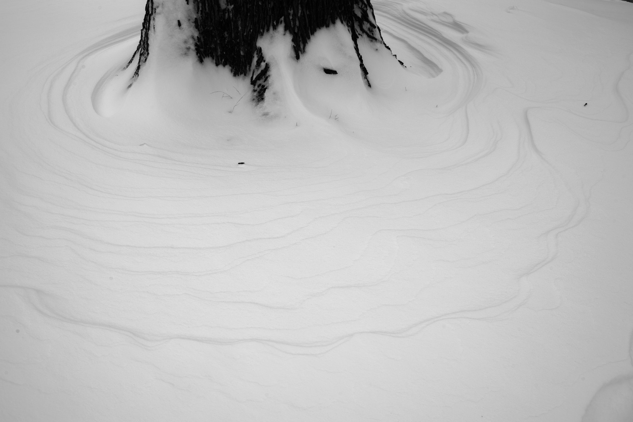 Pentax K-1 + Sigma 35mm F1.4 DG HSM Art sample photo. Snow drifts around tree trunk photography