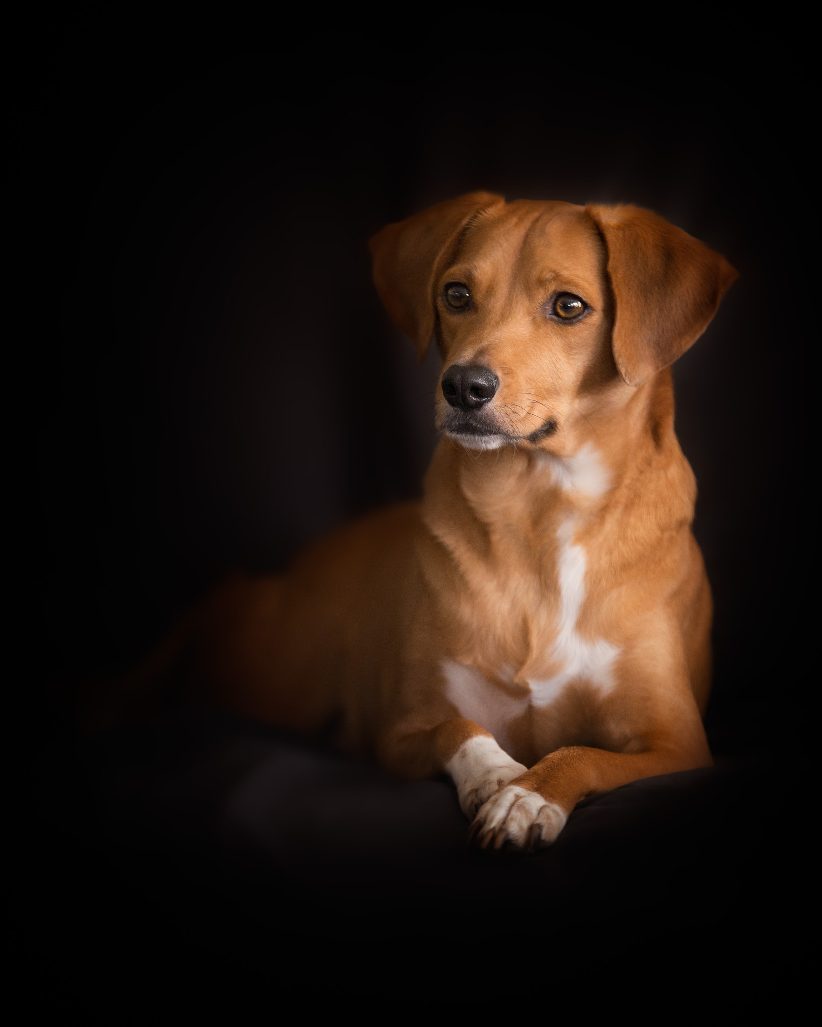 Tamron SP 70-200mm F2.8 Di VC USD sample photo. Riley - portrait photography
