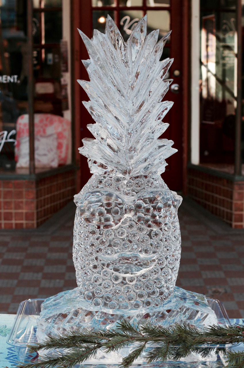 Canon EOS 100D (EOS Rebel SL1 / EOS Kiss X7) sample photo. February pineapple photography