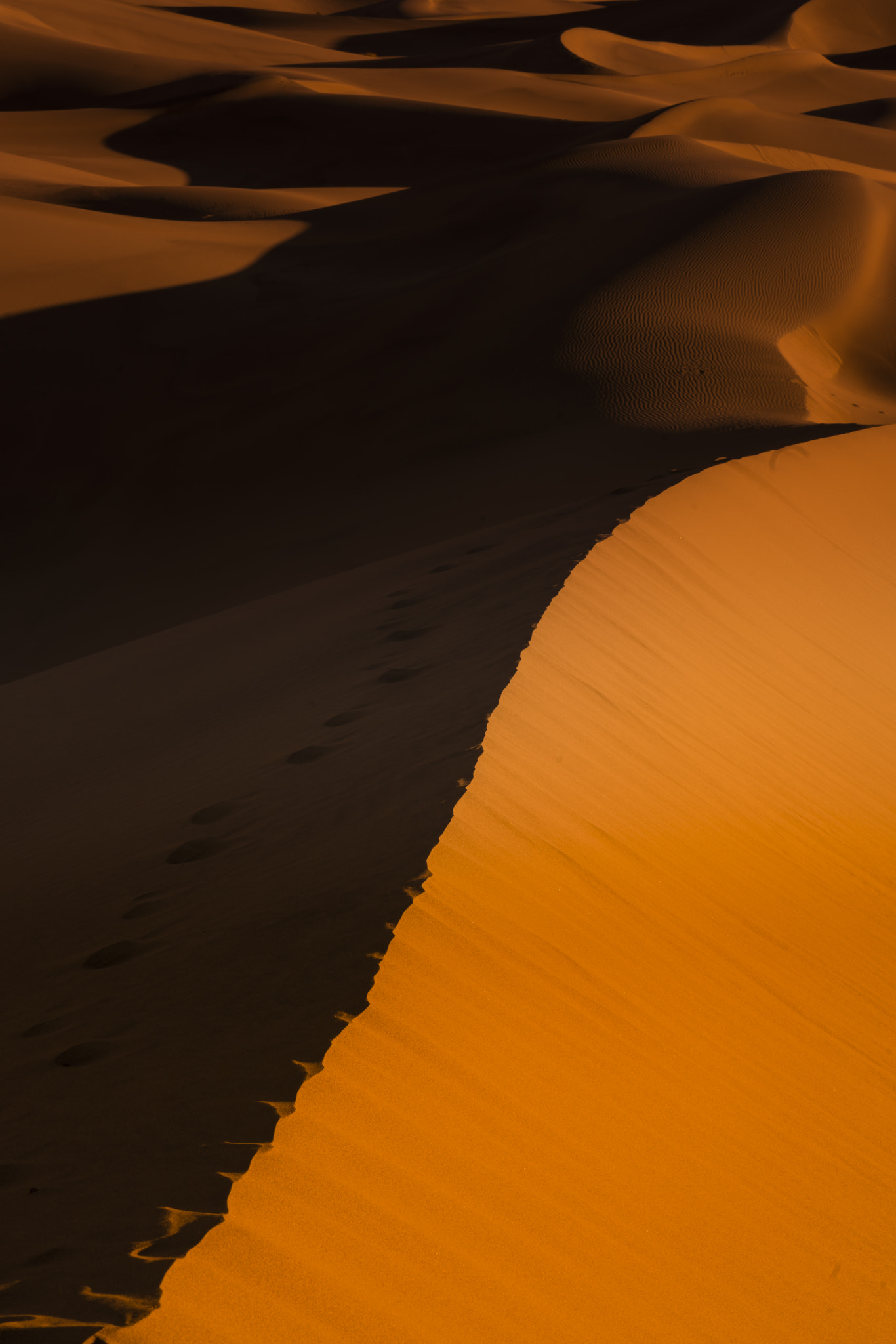 ZEISS Batis 85mm F1.8 sample photo. Curves ii photography