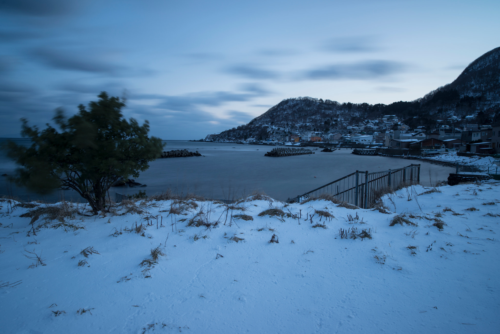 Nikon D800 sample photo