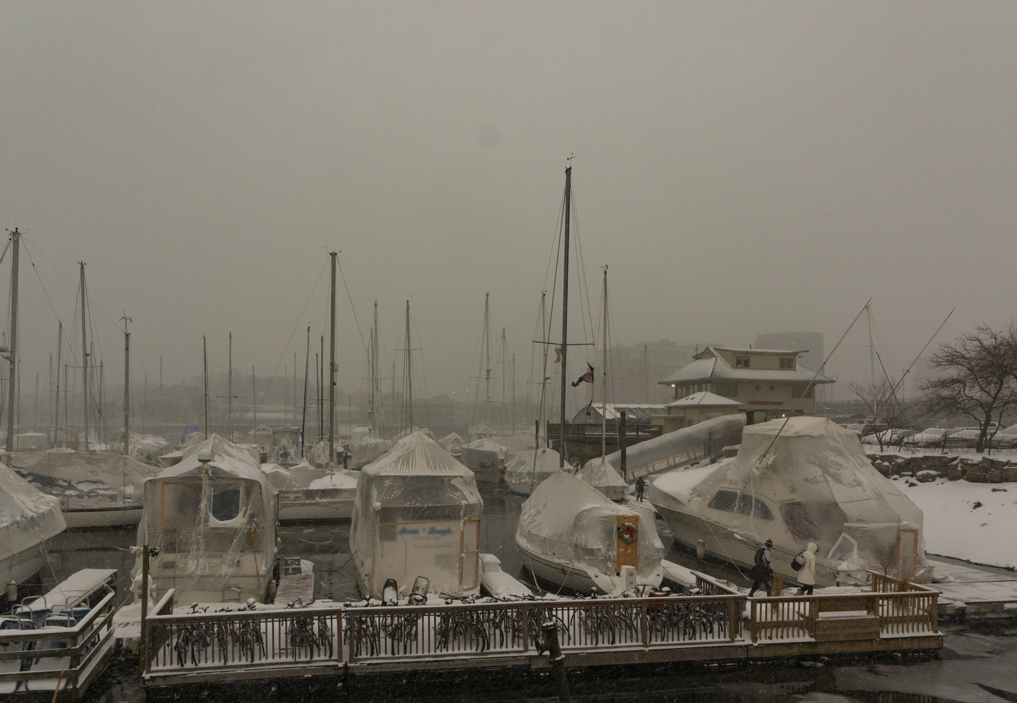 Pentax K-3 II sample photo. Liveaboards photography