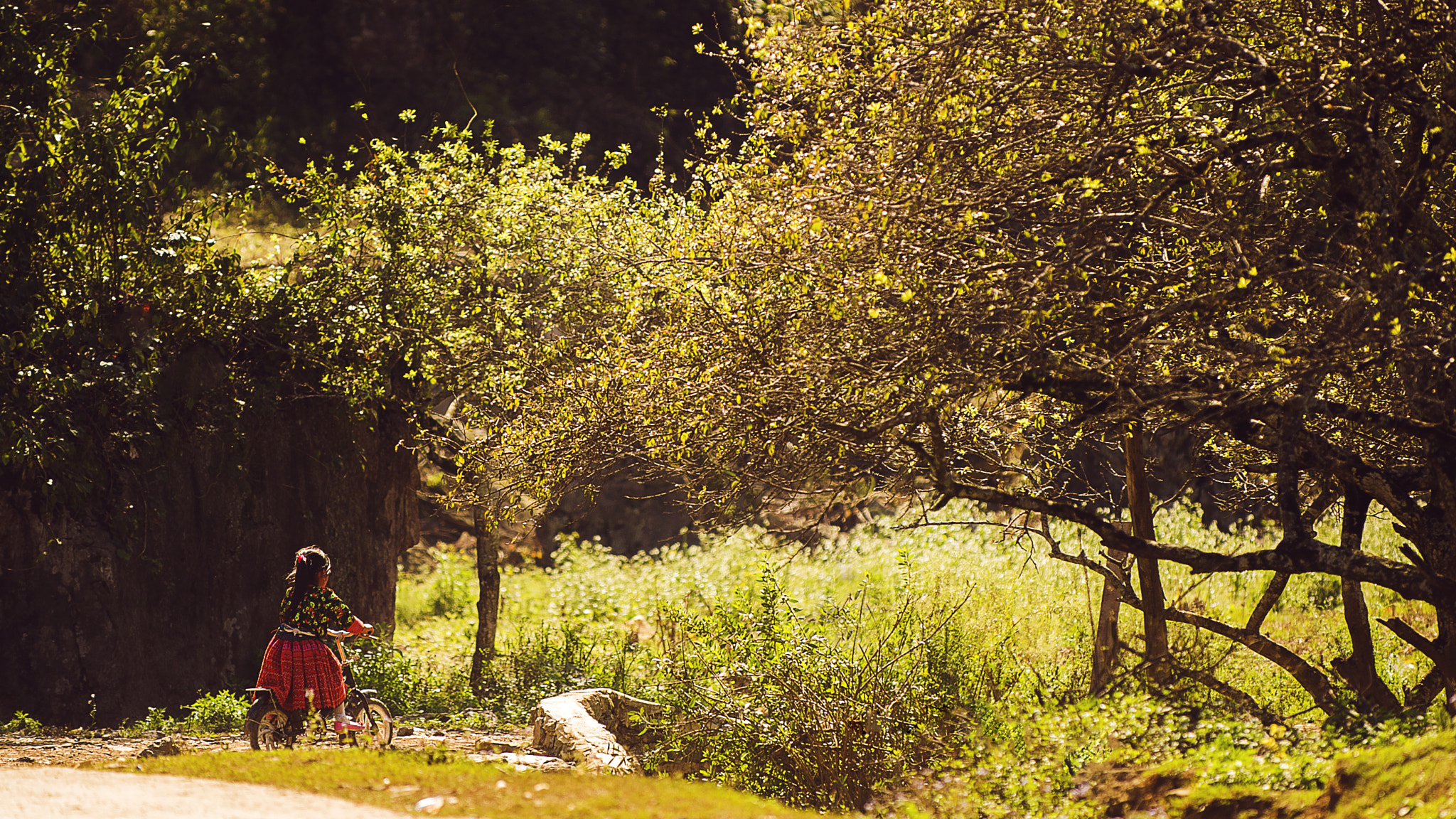 Nikon D3S sample photo. In the countryside... photography