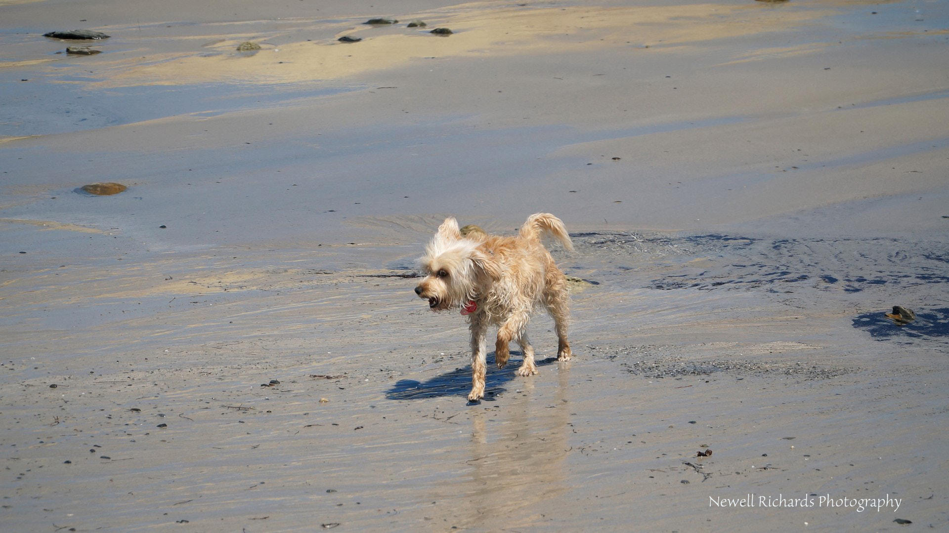 Sony Alpha NEX-6 sample photo. Myponga beach photography