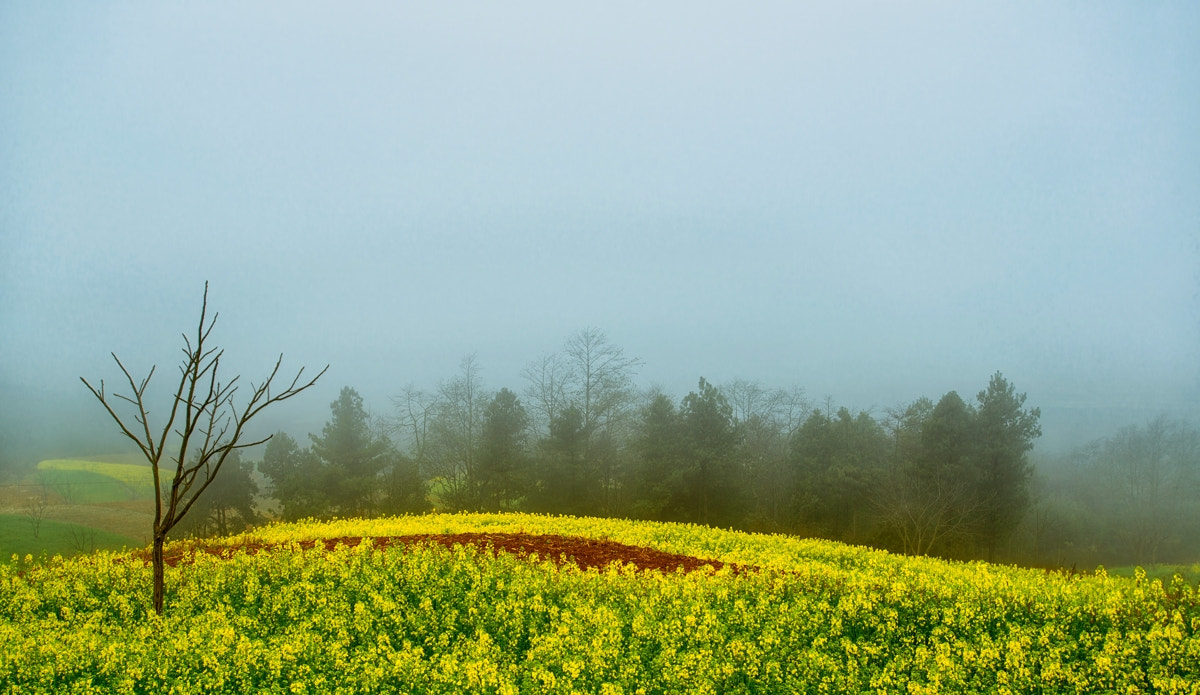 Nikon AF-S Nikkor 17-35mm F2.8D ED-IF sample photo. Dsc photography