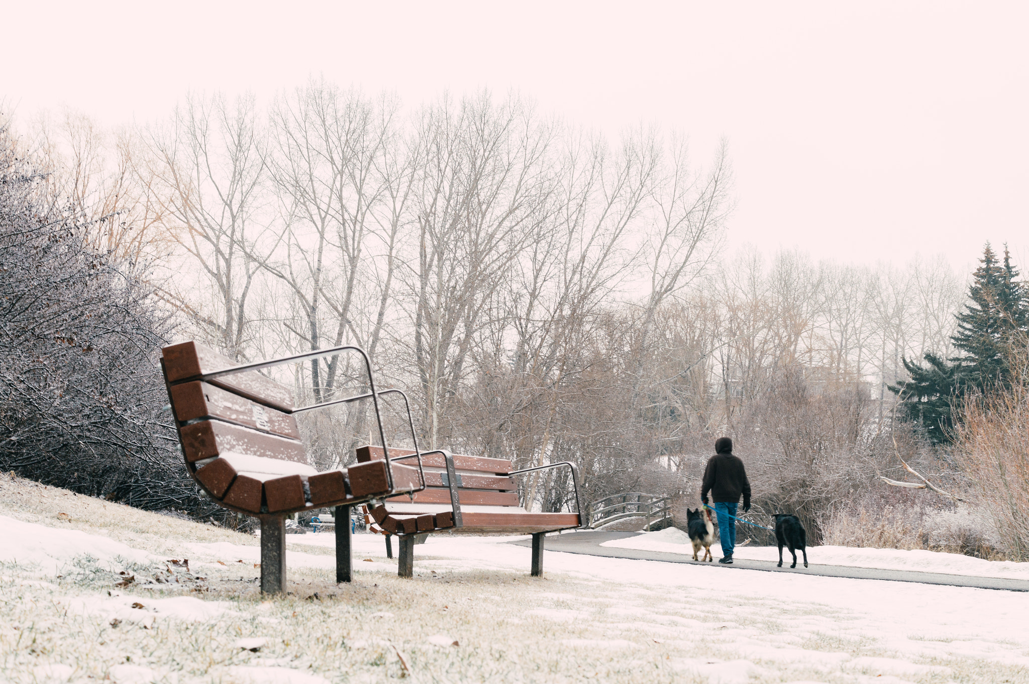 Sony SLT-A57 sample photo. Cold walk photography