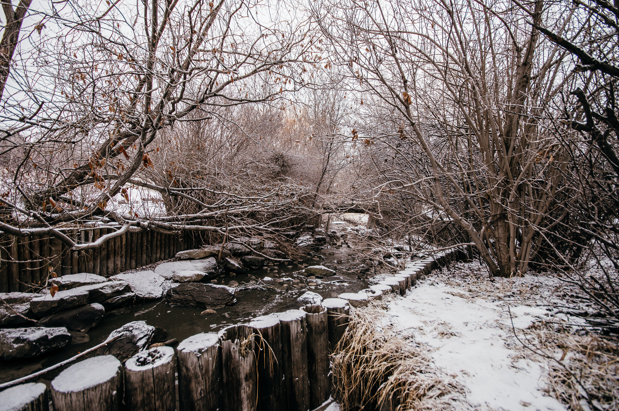 Sigma AF 10-20mm F4-5.6 EX DC sample photo. Snowy outdoors photography