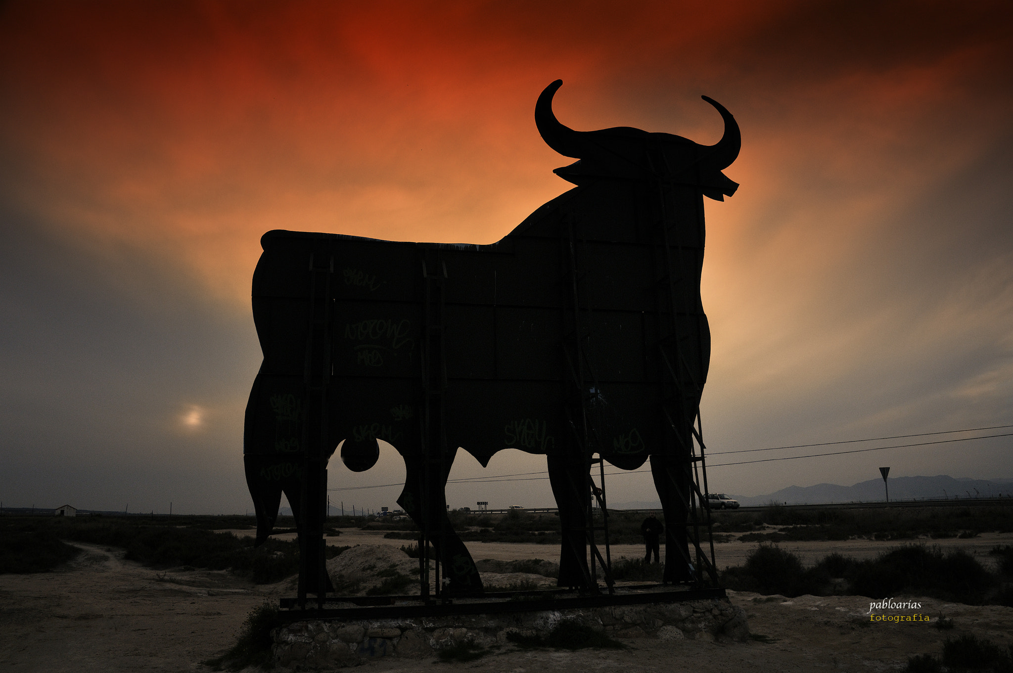 Nikon D300 sample photo. El toro de osborne photography