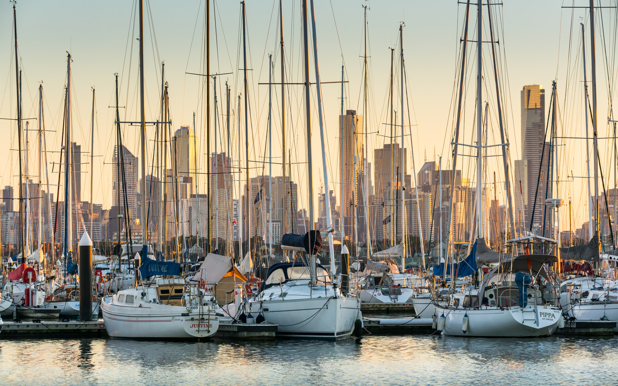 150-600mm F5-6.3 DG OS HSM | Sports 014 sample photo. Melbourne dawn photography