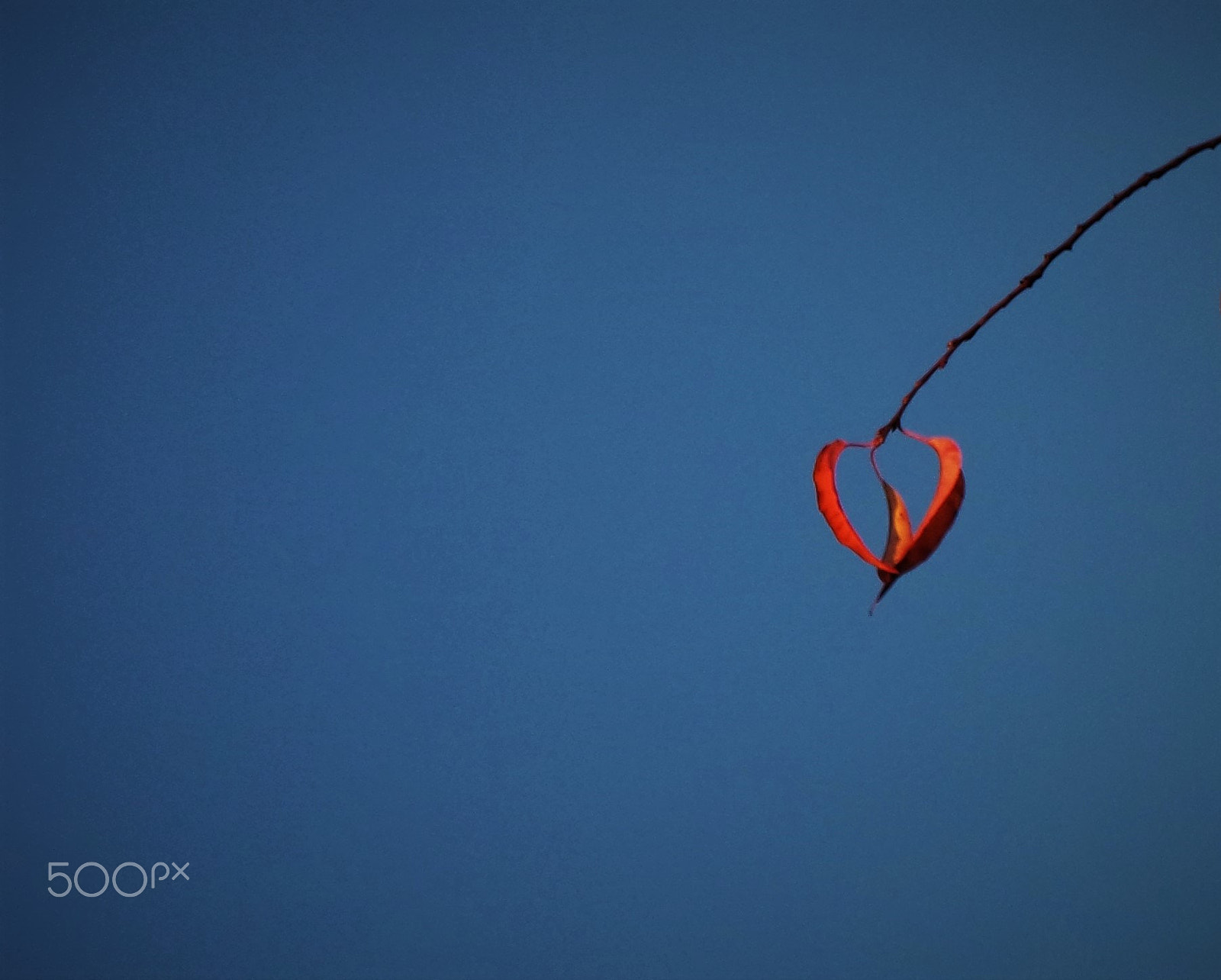 Samsung NX3300 sample photo. Heart in the sky. photography