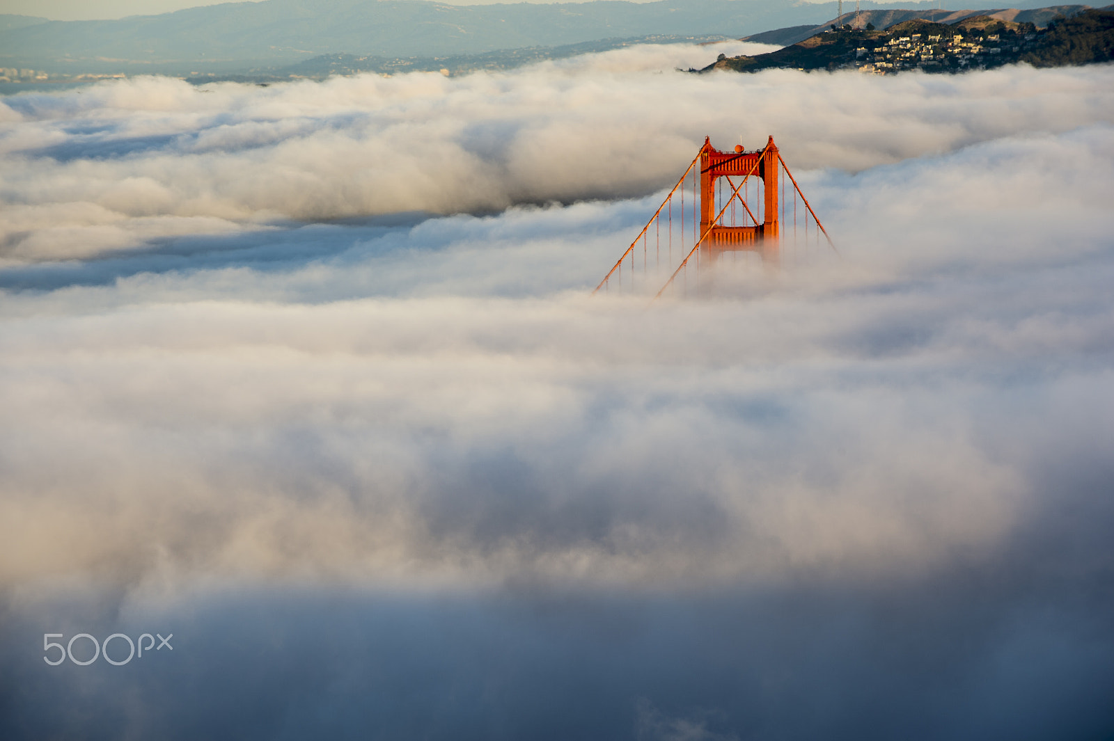 Nikon D4 sample photo. Foggy golden gate bridge. photography