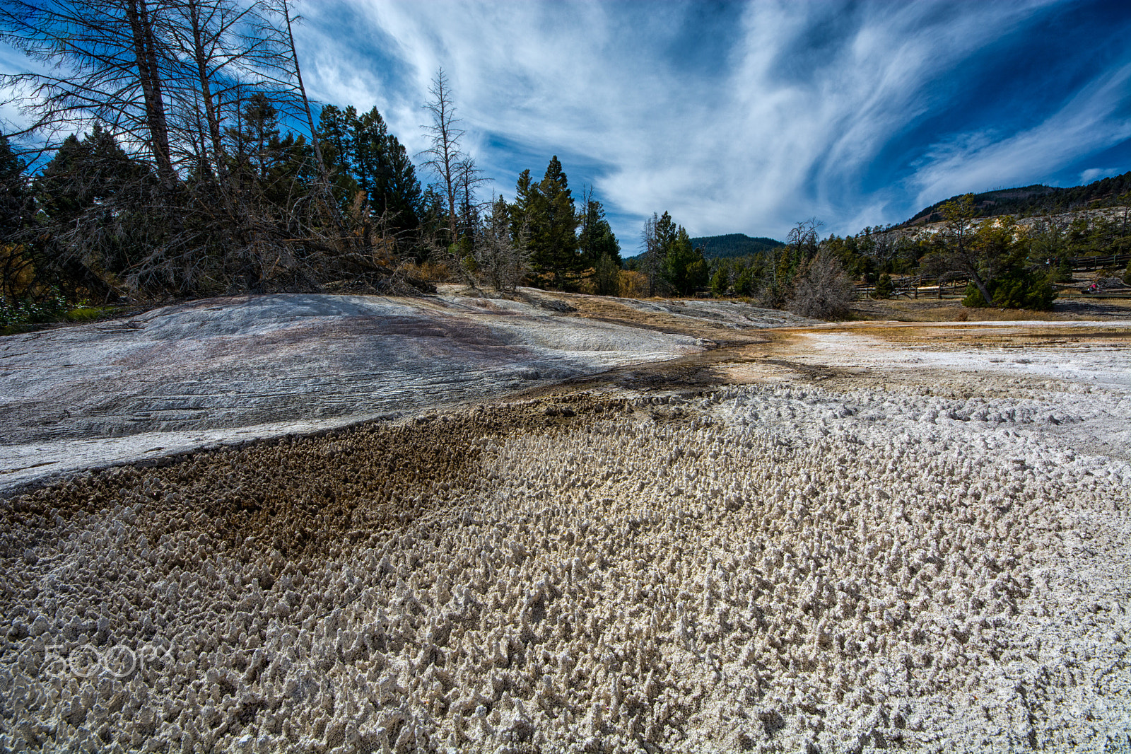 Sigma 8-16mm F4.5-5.6 DC HSM sample photo. Spots photography