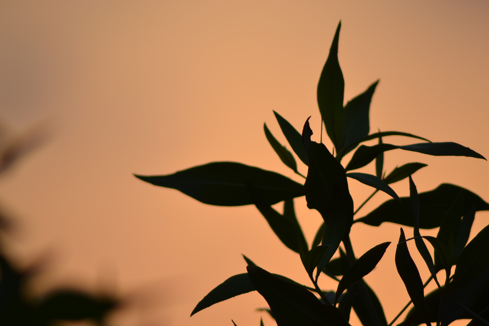 Nikon AF Nikkor 70-300mm F4-5.6G sample photo. Sunrise photography