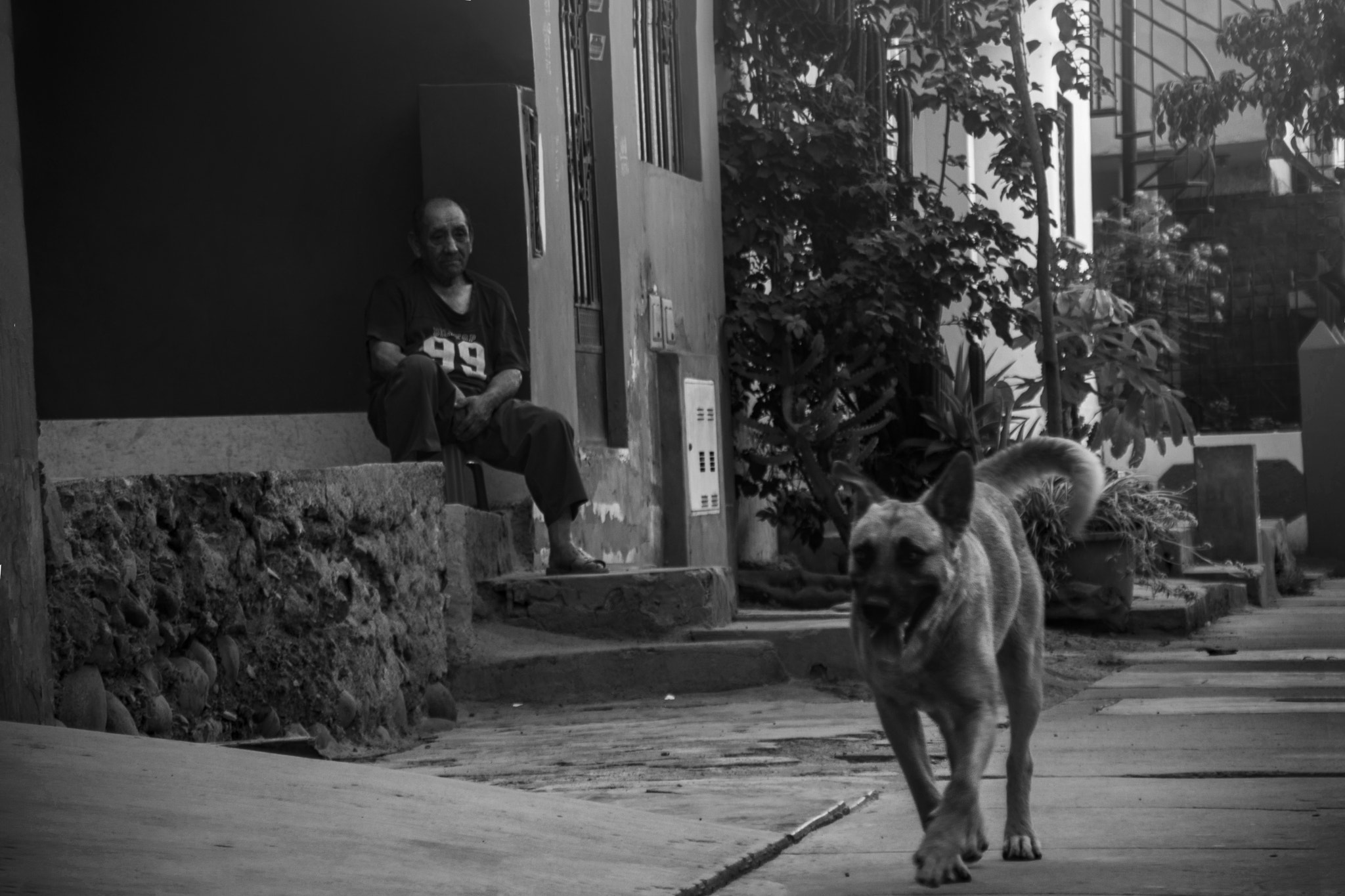 Sigma 18-200mm F3.5-6.3 DC sample photo. Regresa ponto..te espero photography