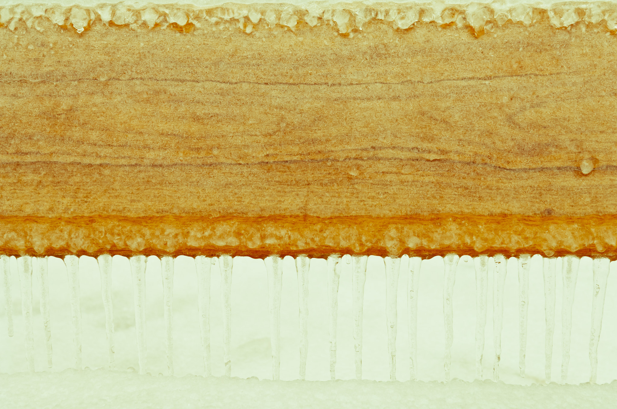 Nikon D2X sample photo. Freezing rain covered this bench in a park photography