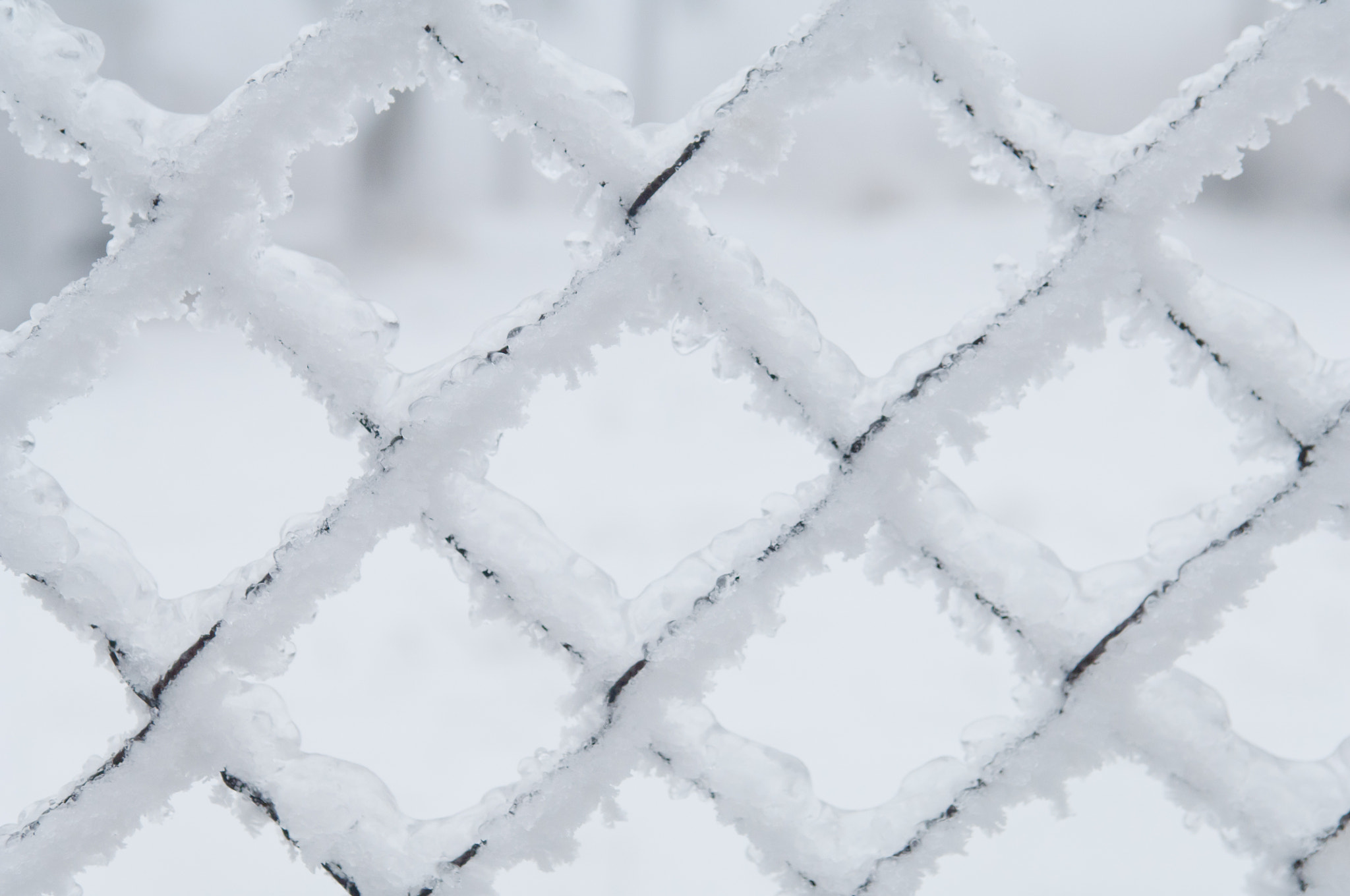 Nikon D2X sample photo. Freezing rain covered this fence in an urban area photography