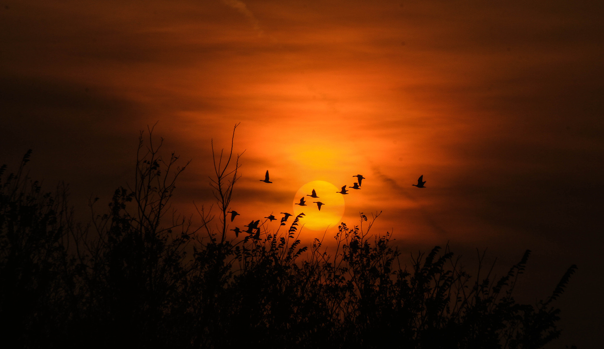 Canon EOS 650D (EOS Rebel T4i / EOS Kiss X6i) sample photo. Hisham photography