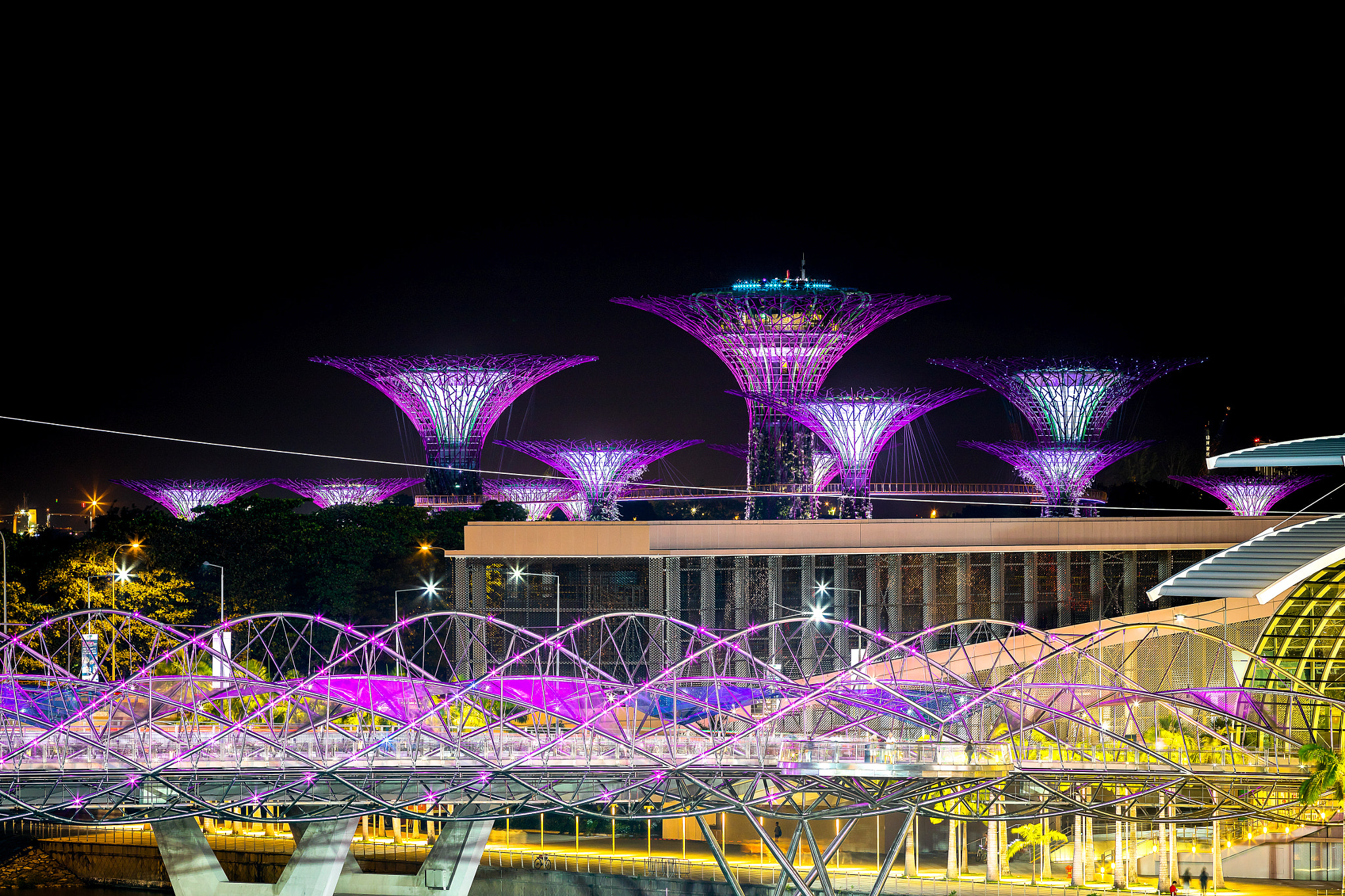 Canon EF 200mm F2.8L II USM sample photo. Supertrees photography