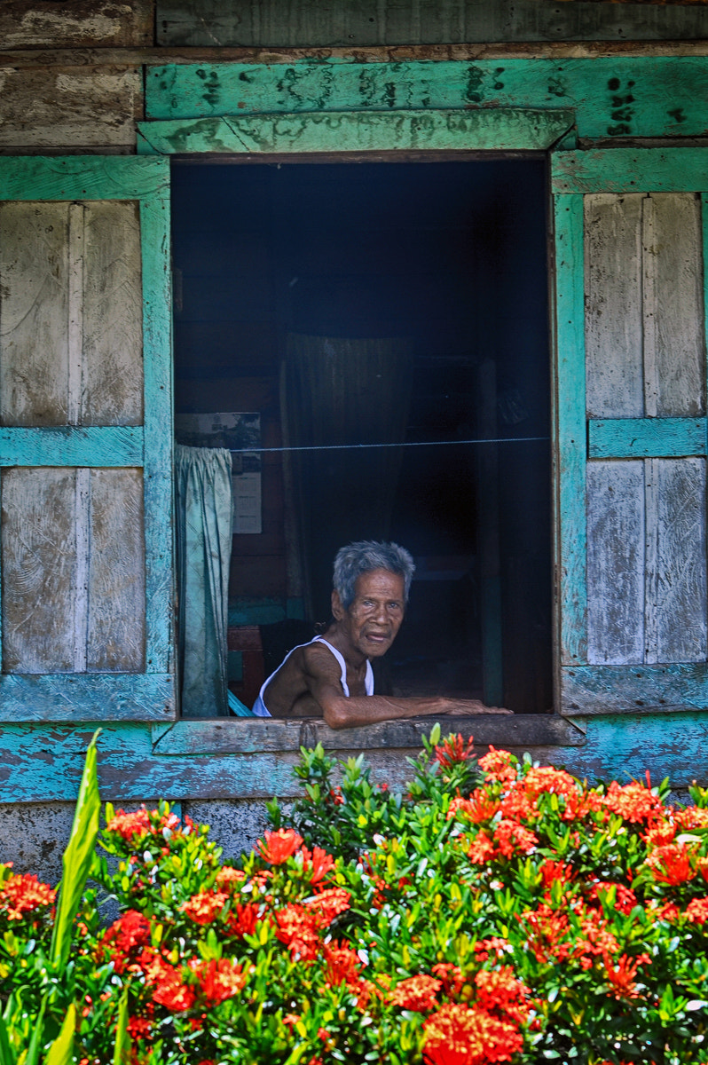 AF Zoom-Nikkor 28-85mm f/3.5-4.5 sample photo. Window photography