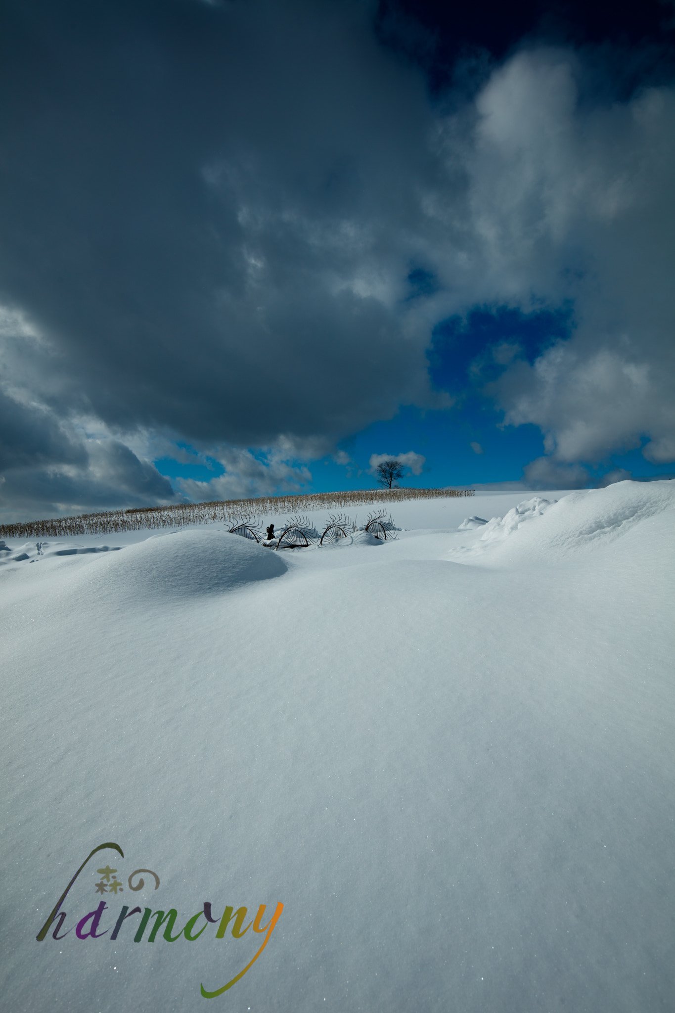 Canon EF 16-35mm F4L IS USM sample photo. Highland of the sunflower photography