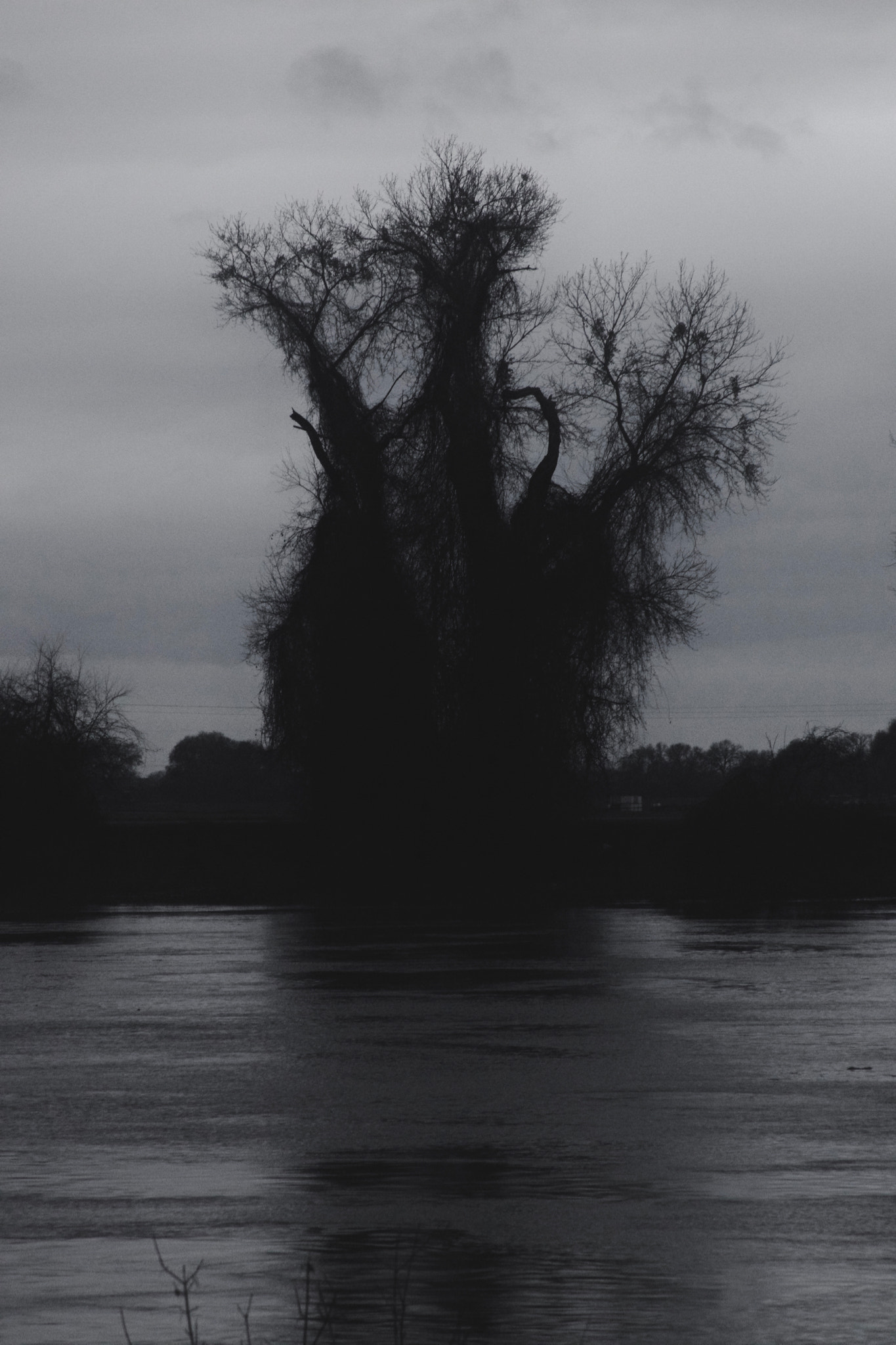 Canon EF 28-135mm F3.5-5.6 IS USM sample photo. River monster photography