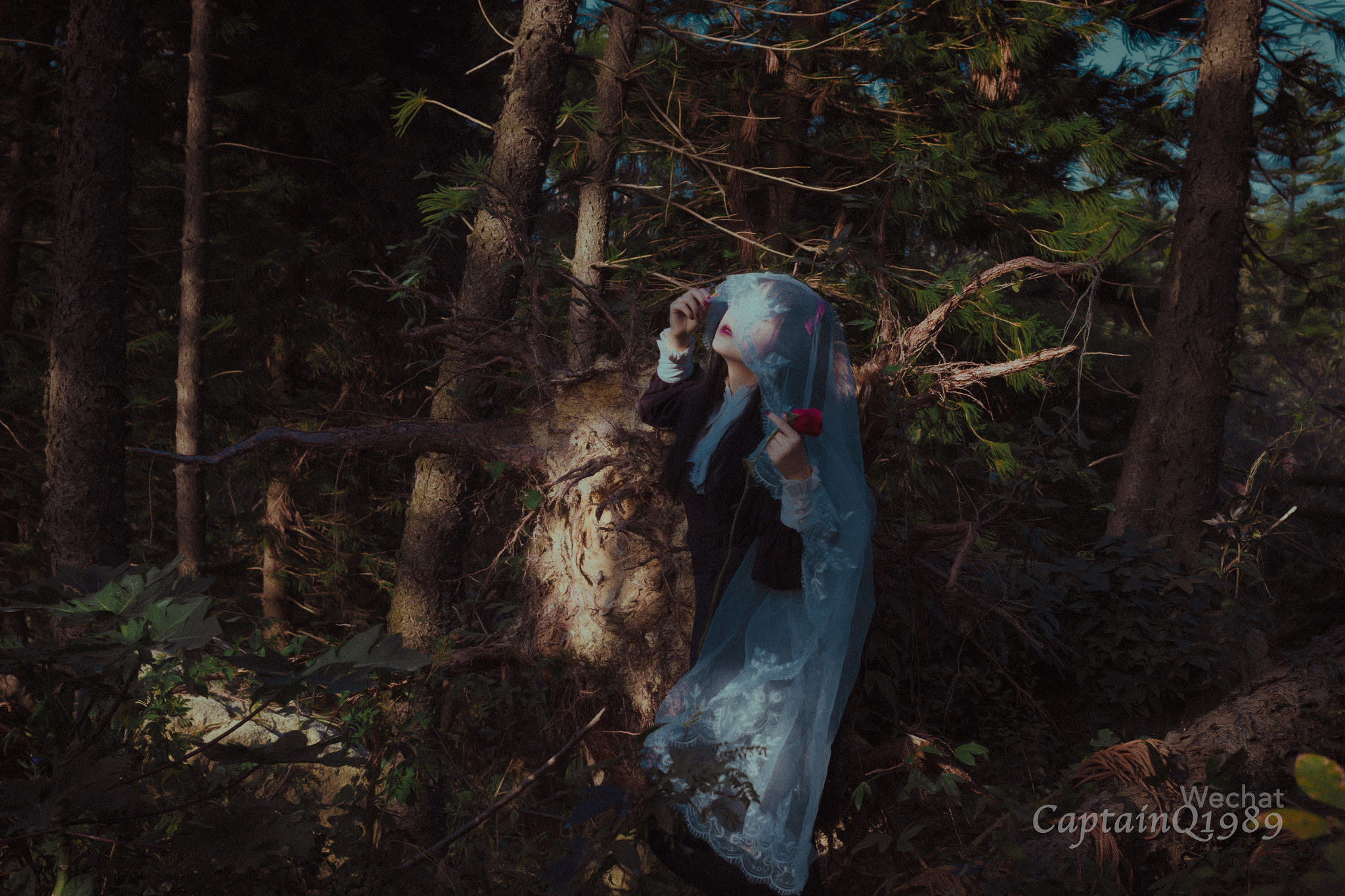 Canon EOS 70D + Canon EF 40mm F2.8 STM sample photo