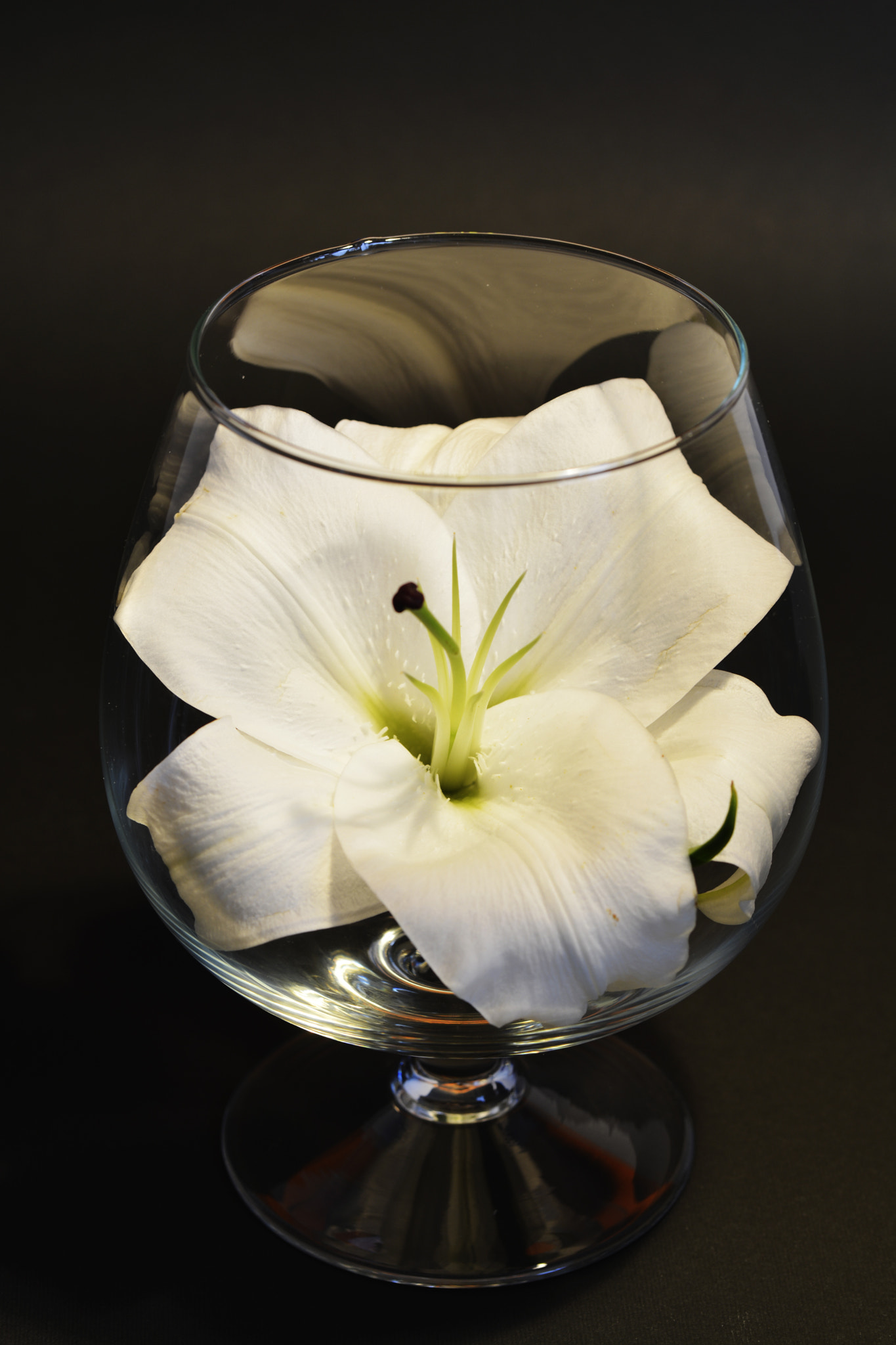Nikon D5200 + Tamron SP AF 60mm F2 Di II LD IF Macro sample photo. Lily in glass photography