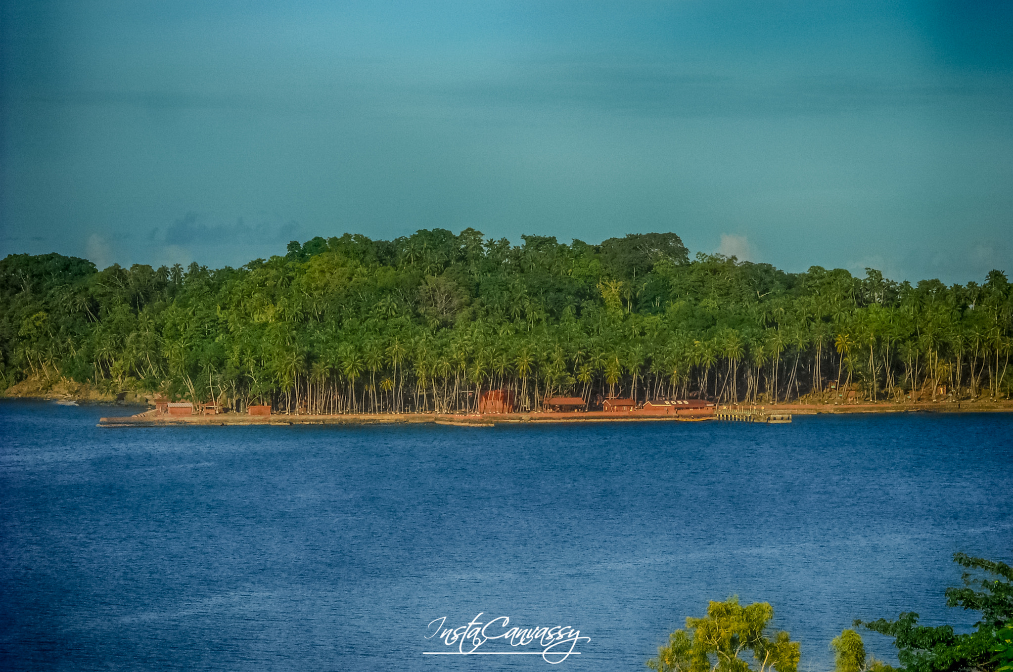 Nikon Coolpix L19 sample photo. Andaman:the archipelago of islands photography