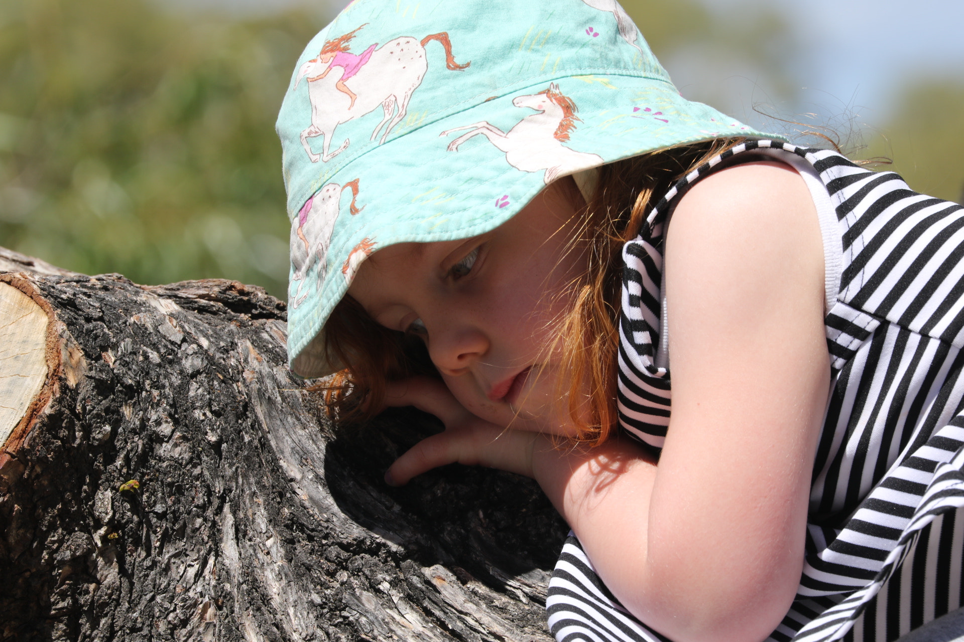 Canon EF 70-300mm F4-5.6L IS USM sample photo. Australia photography
