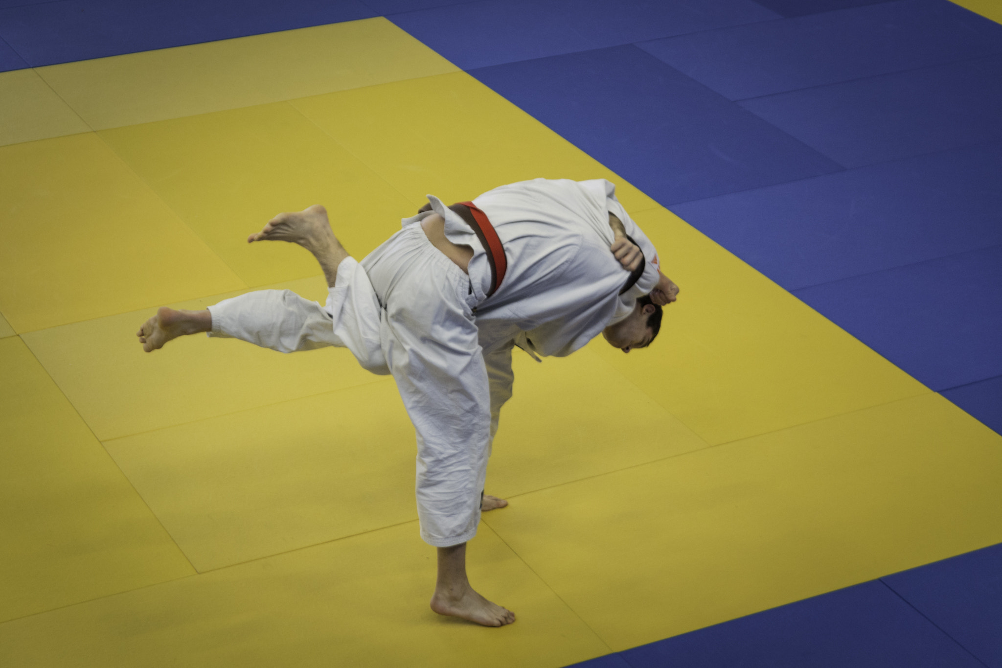 Nikon D7100 sample photo. Championnat de normandie par équipe sénior en judo photography