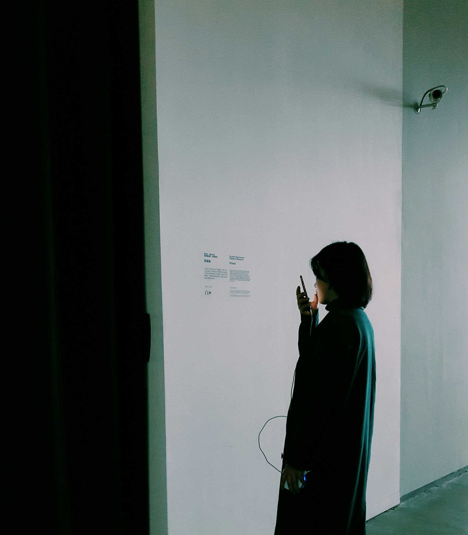 Meizu PRO 5 sample photo