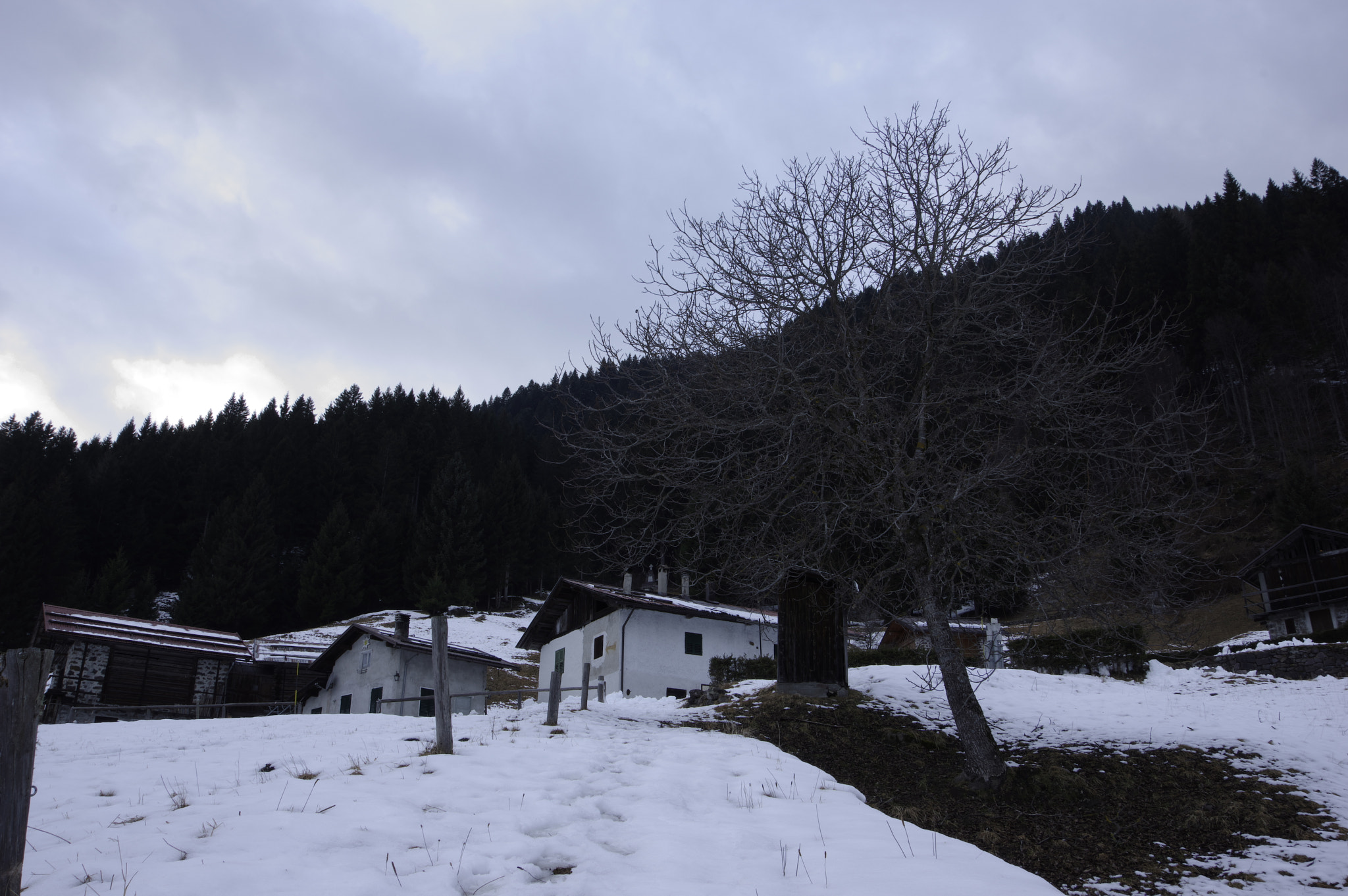 Pentax K-3 II sample photo. Untitled photography