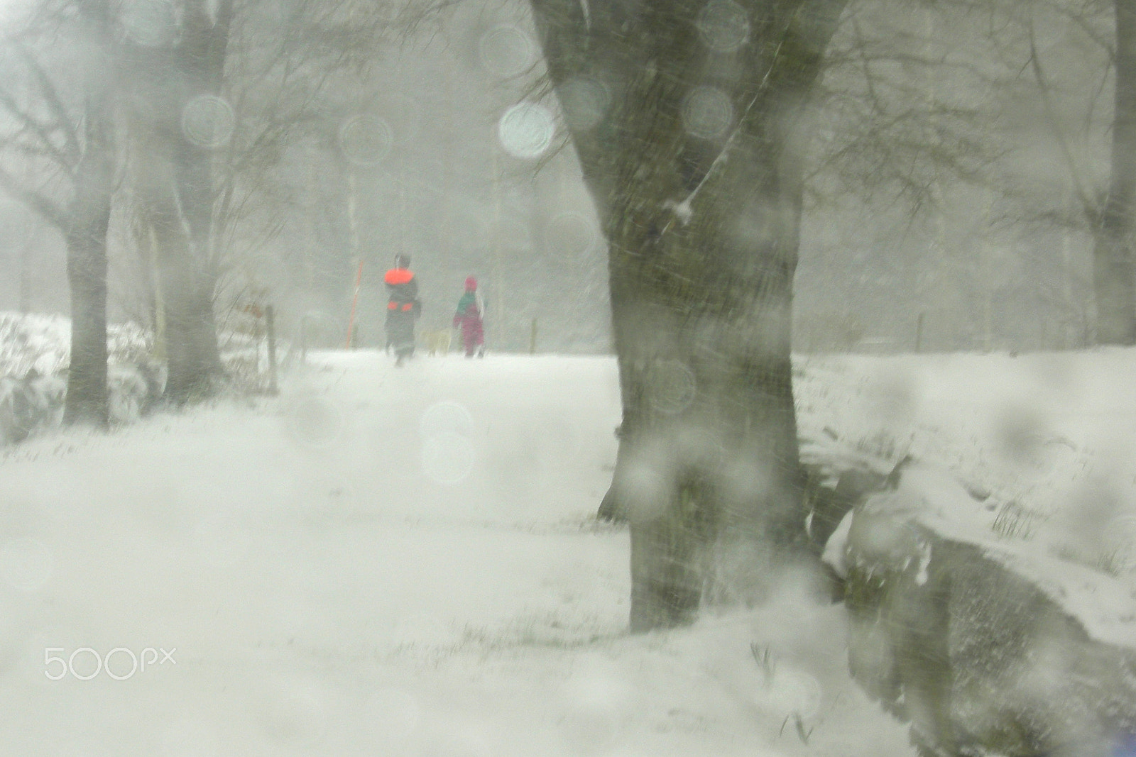 Nikon COOLPIX P1 sample photo. A walk in the snow photography