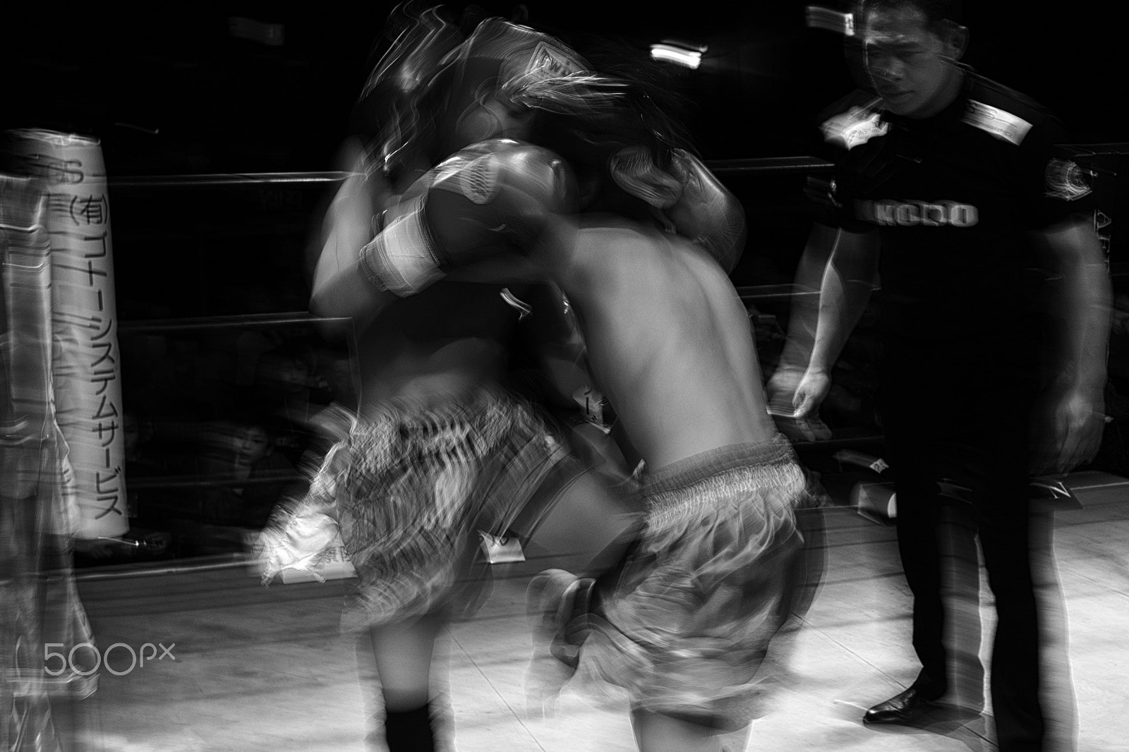 Leica Summilux-SL 50mm F1.4 ASPH sample photo. Fighter photography