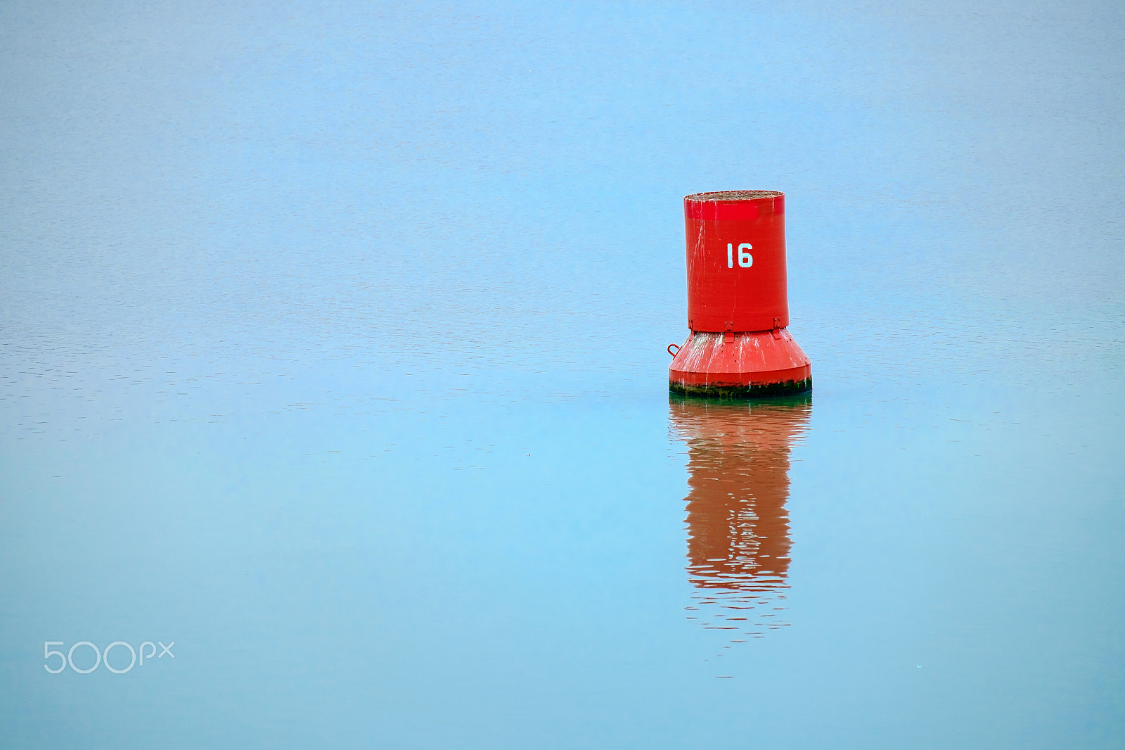 Fujifilm X-Pro1 + Fujifilm XF 55-200mm F3.5-4.8 R LM OIS sample photo. 16 photography