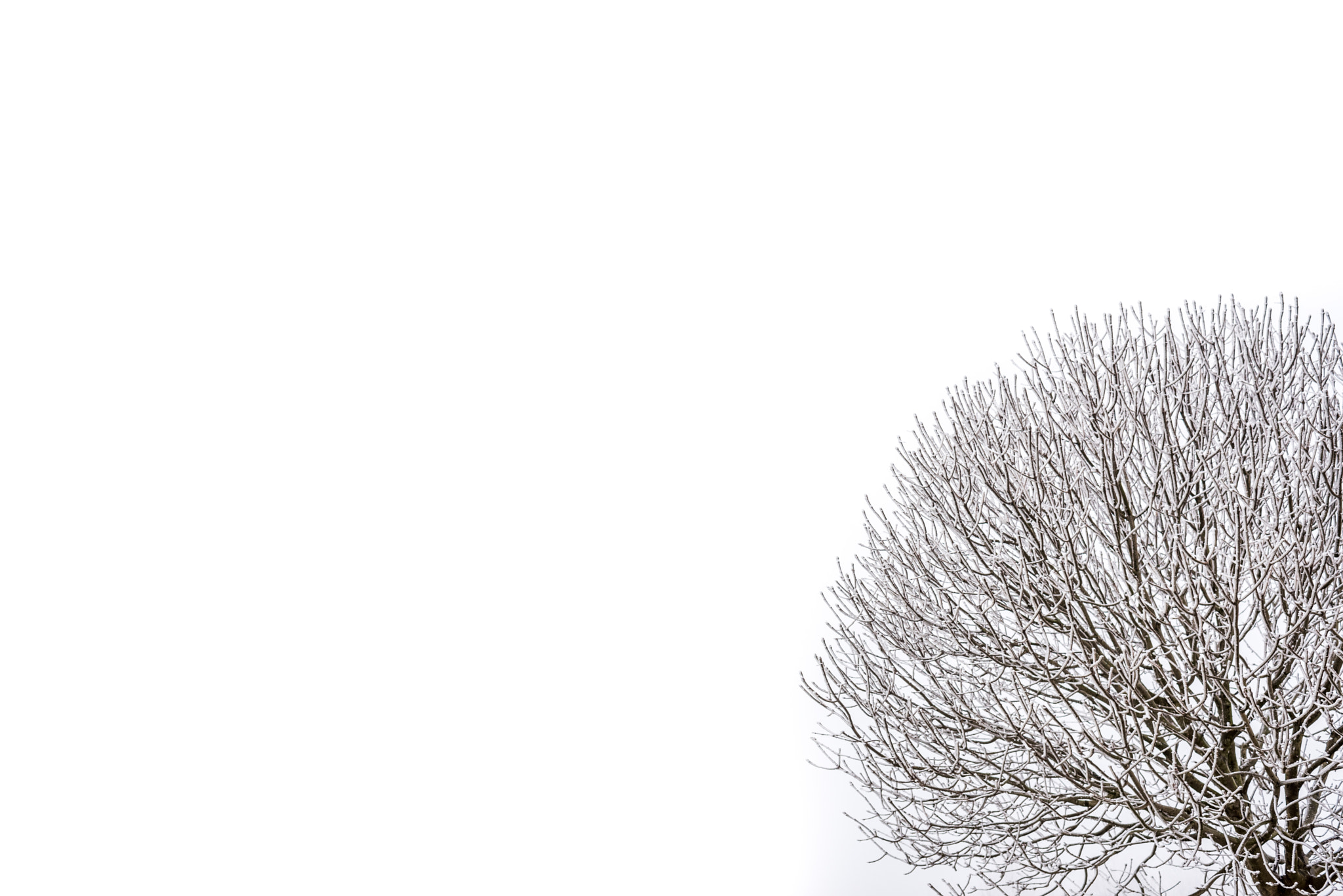 Nikon AF-S Nikkor 35mm F1.4G sample photo. Winter i photography