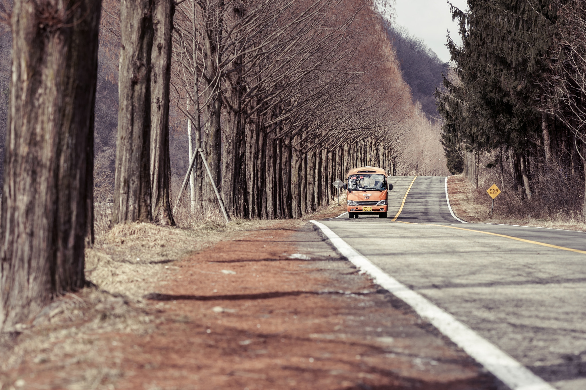 Sony Sonnar T* 135mm F1.8 ZA sample photo. Travel photography