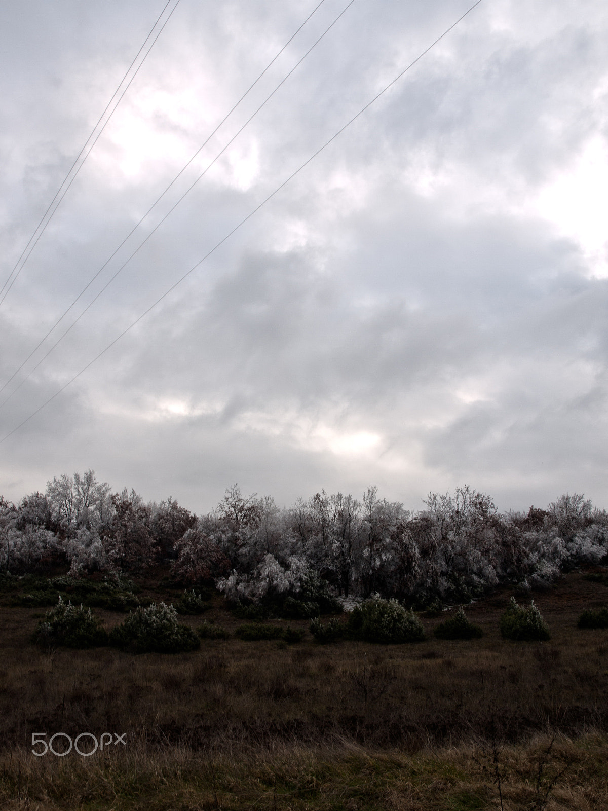 Olympus E-520 (EVOLT E-520) + OLYMPUS 14-42mm Lens sample photo. Sky photography